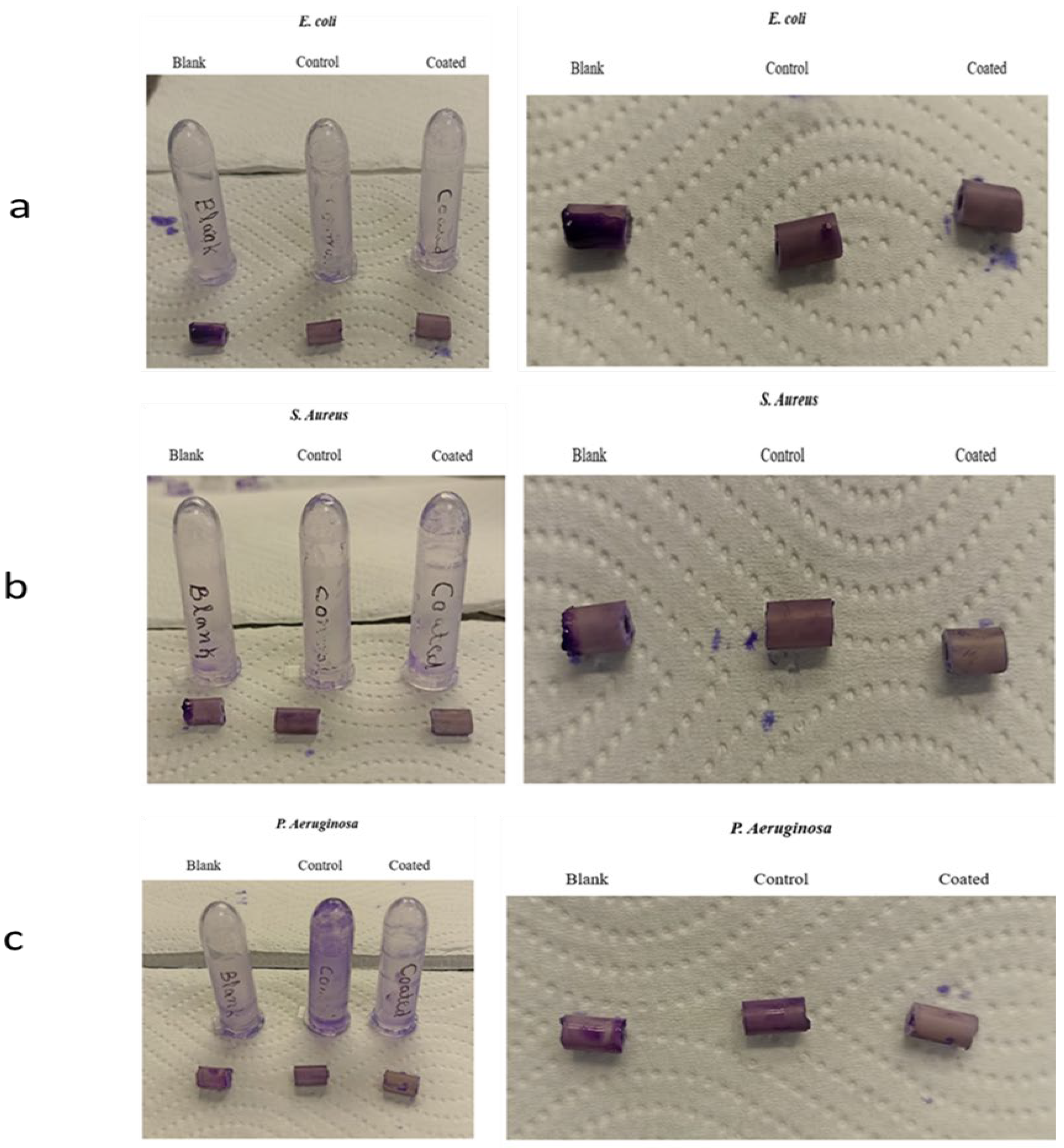 Biomedicines 12 02032 g008