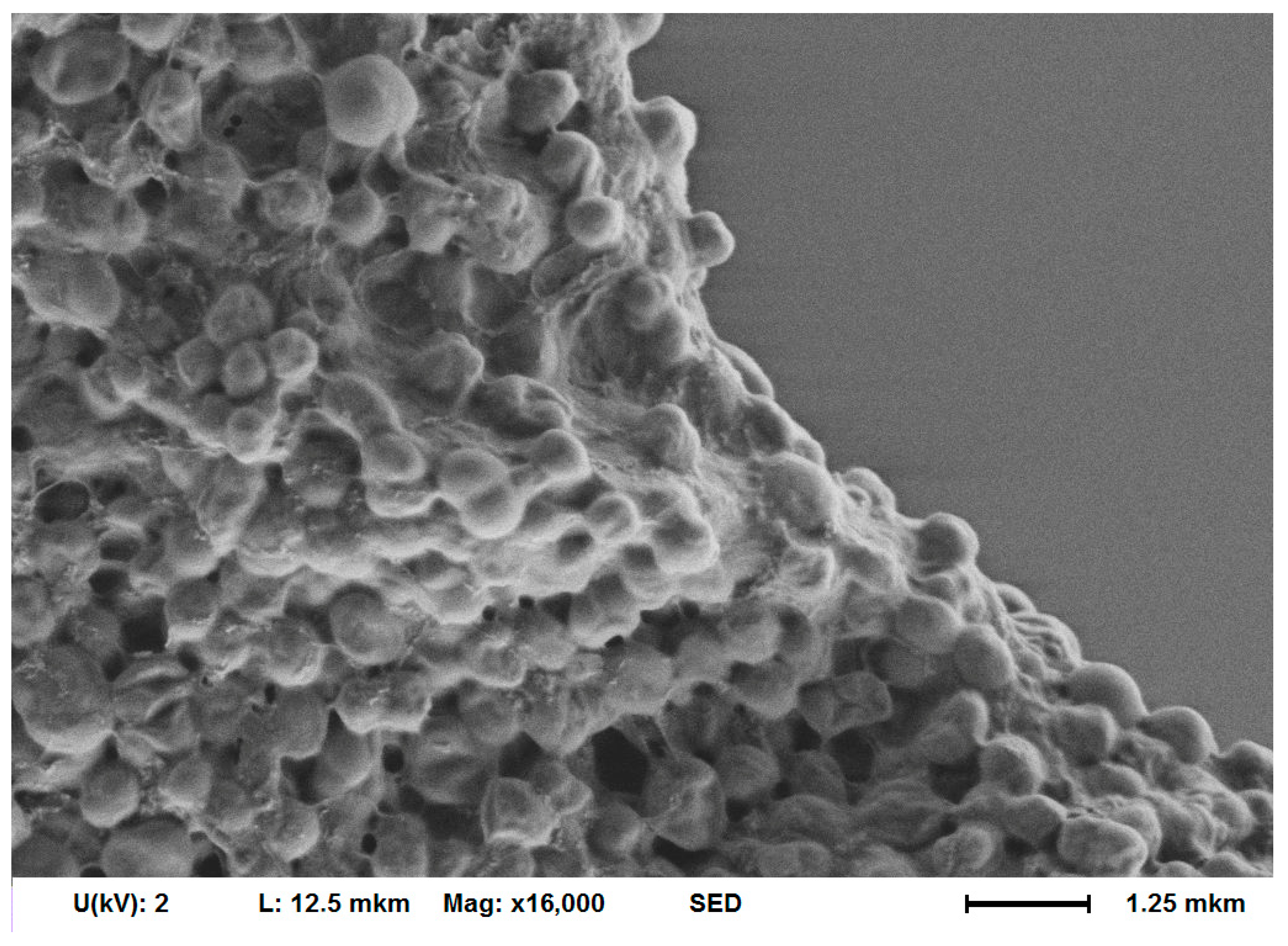 Biomedicines 12 02034 g006 Biomedicines 12 02034 g006