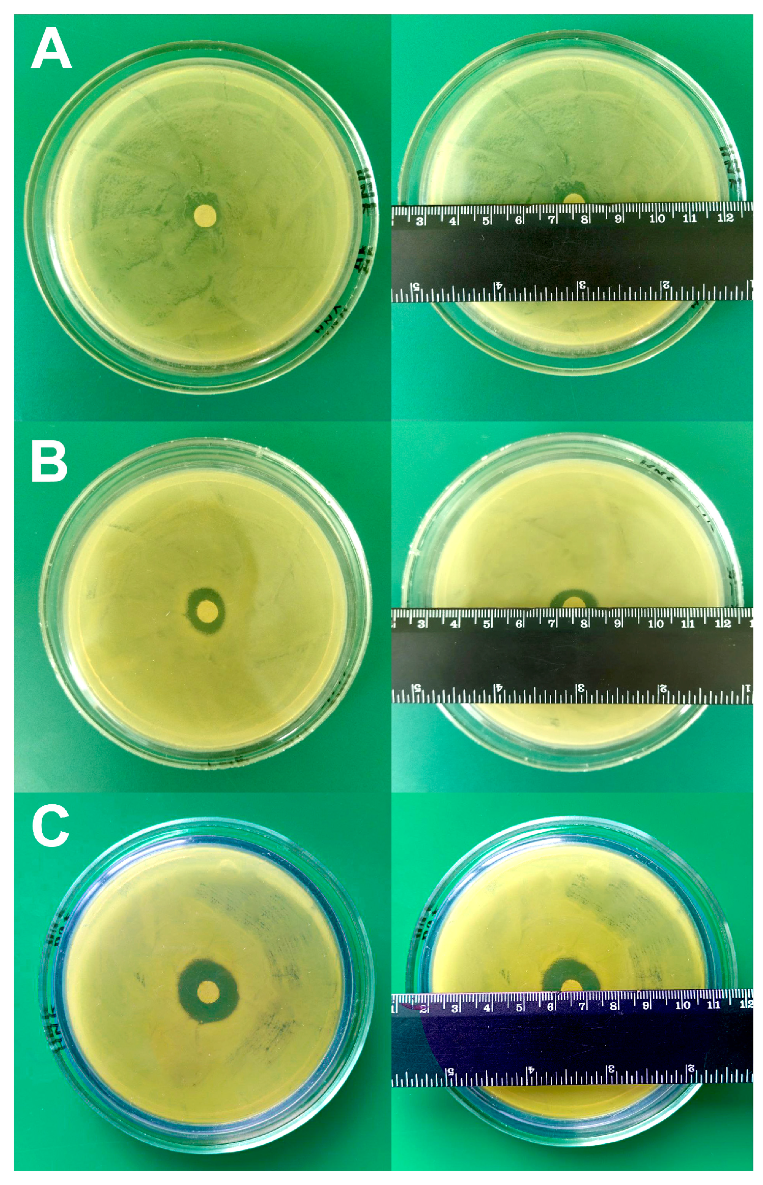 Biomedicines 12 02034 g009 Biomedicines 12 02034 g009