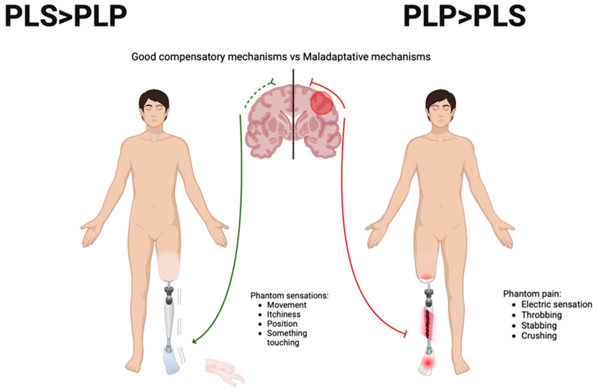 Biomedicines 12 02035 g003