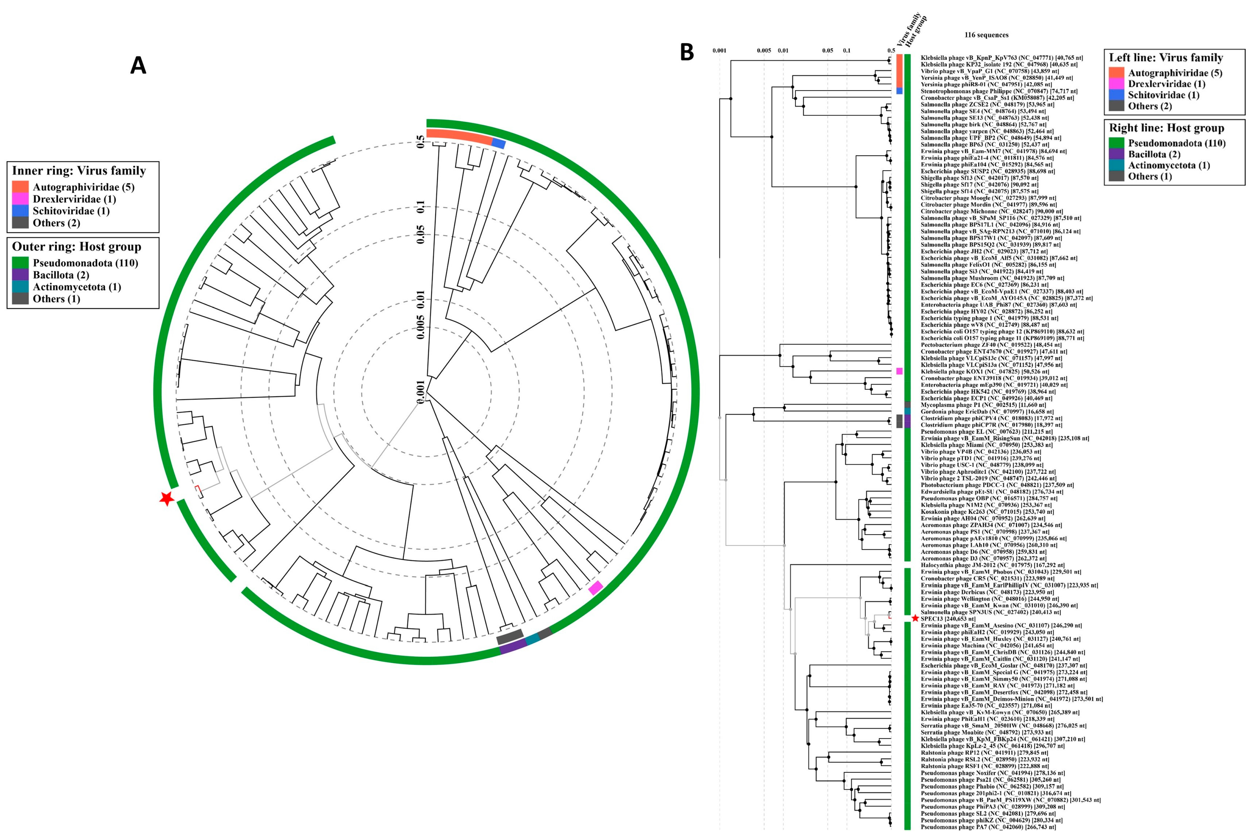Biomedicines 12 02036 g003 Biomedicines 12 02036 g003