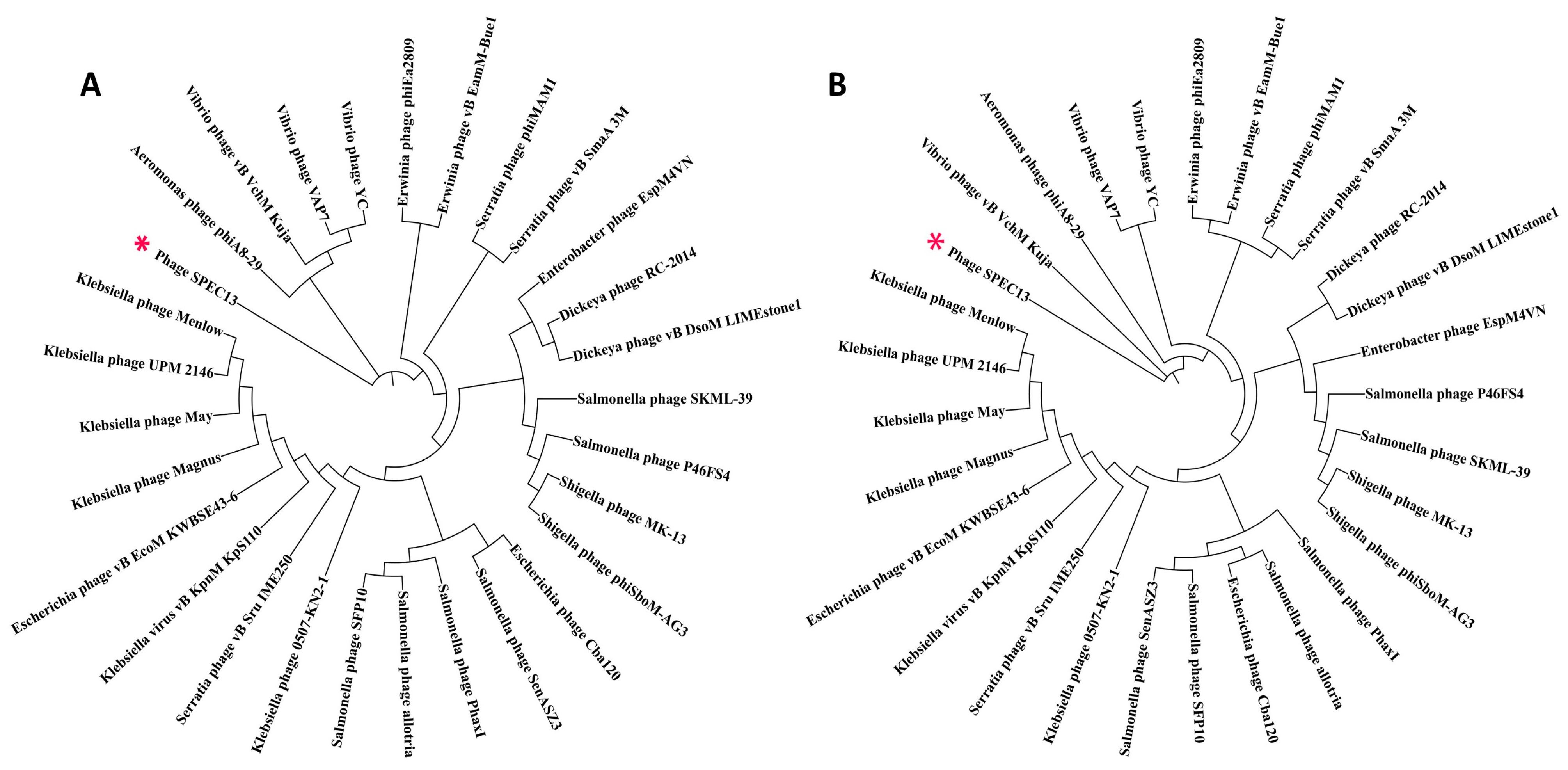 Biomedicines 12 02036 g004 Biomedicines 12 02036 g004