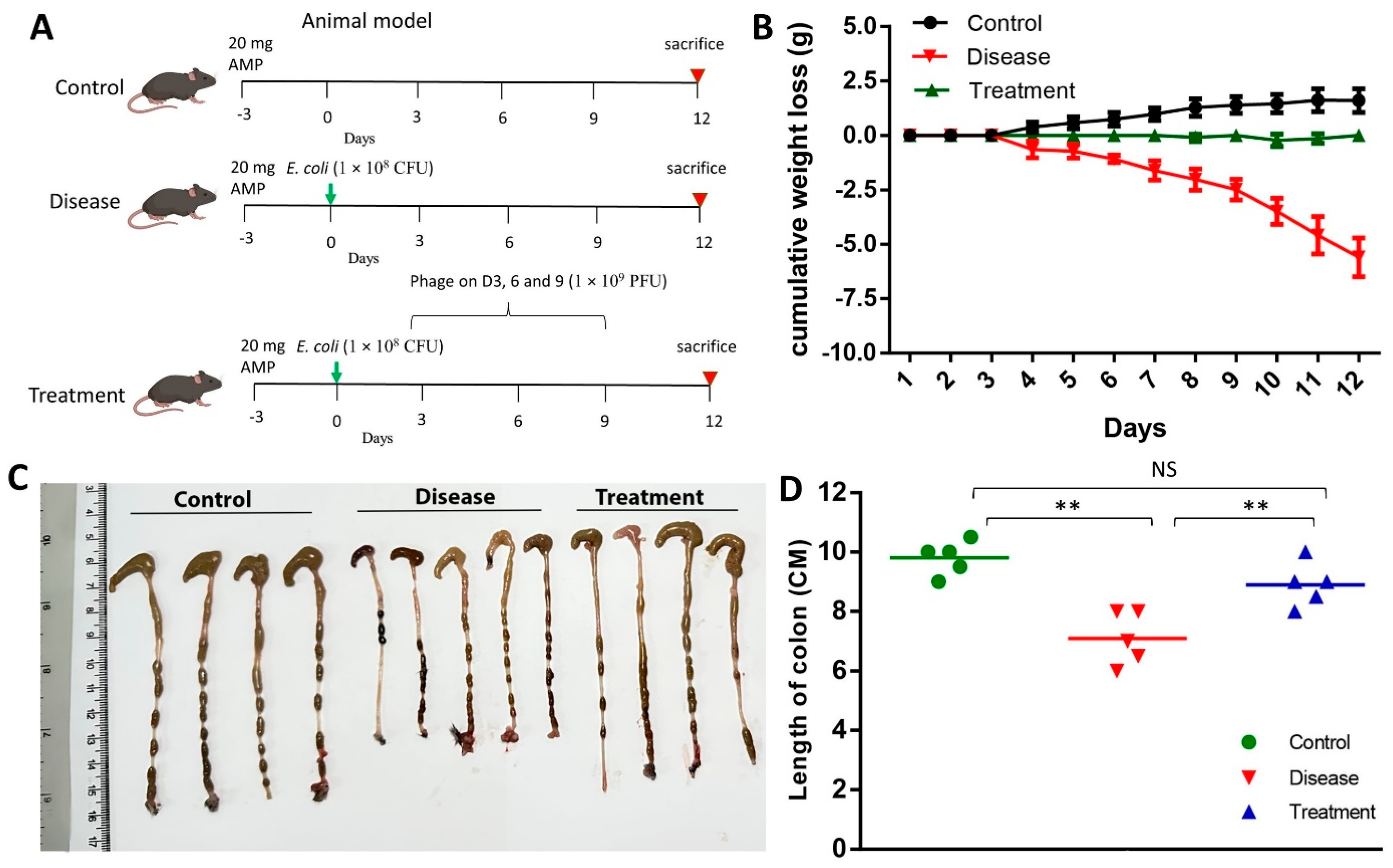 Biomedicines 12 02036 g007 Biomedicines 12 02036 g007
