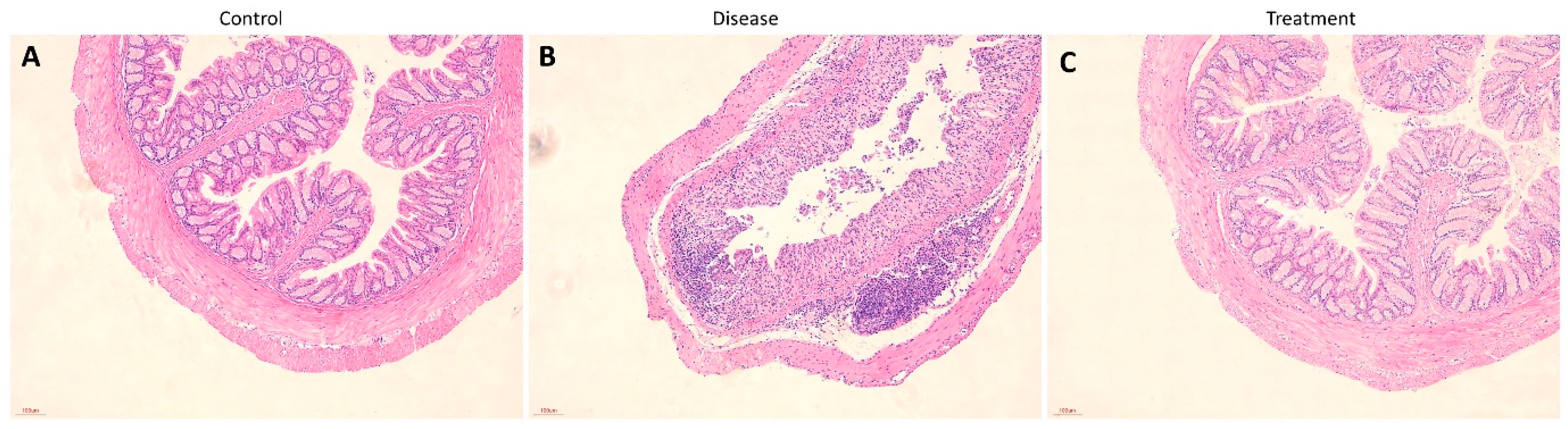 Biomedicines 12 02036 g008 Biomedicines 12 02036 g008