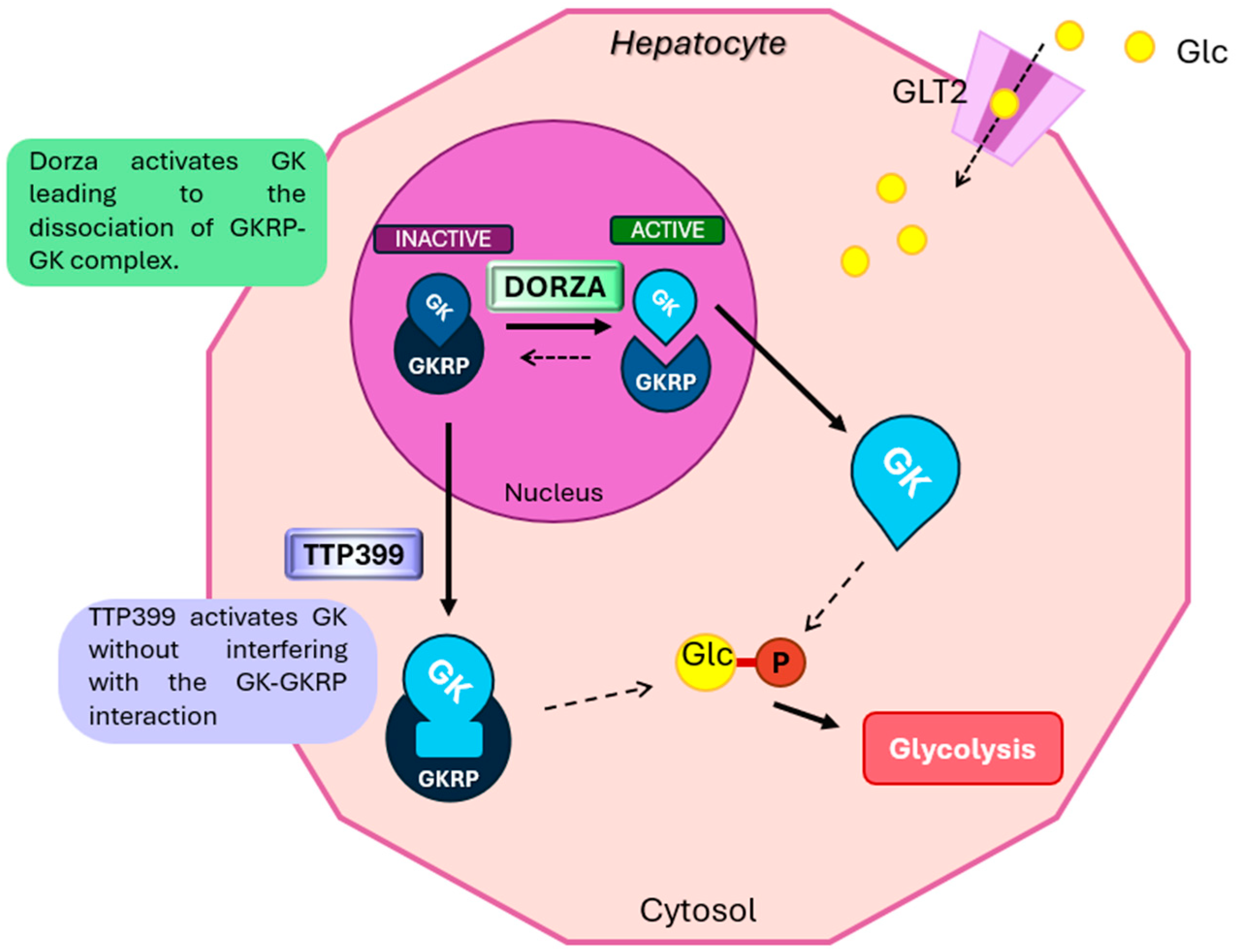 Biomedicines 12 02039 g005