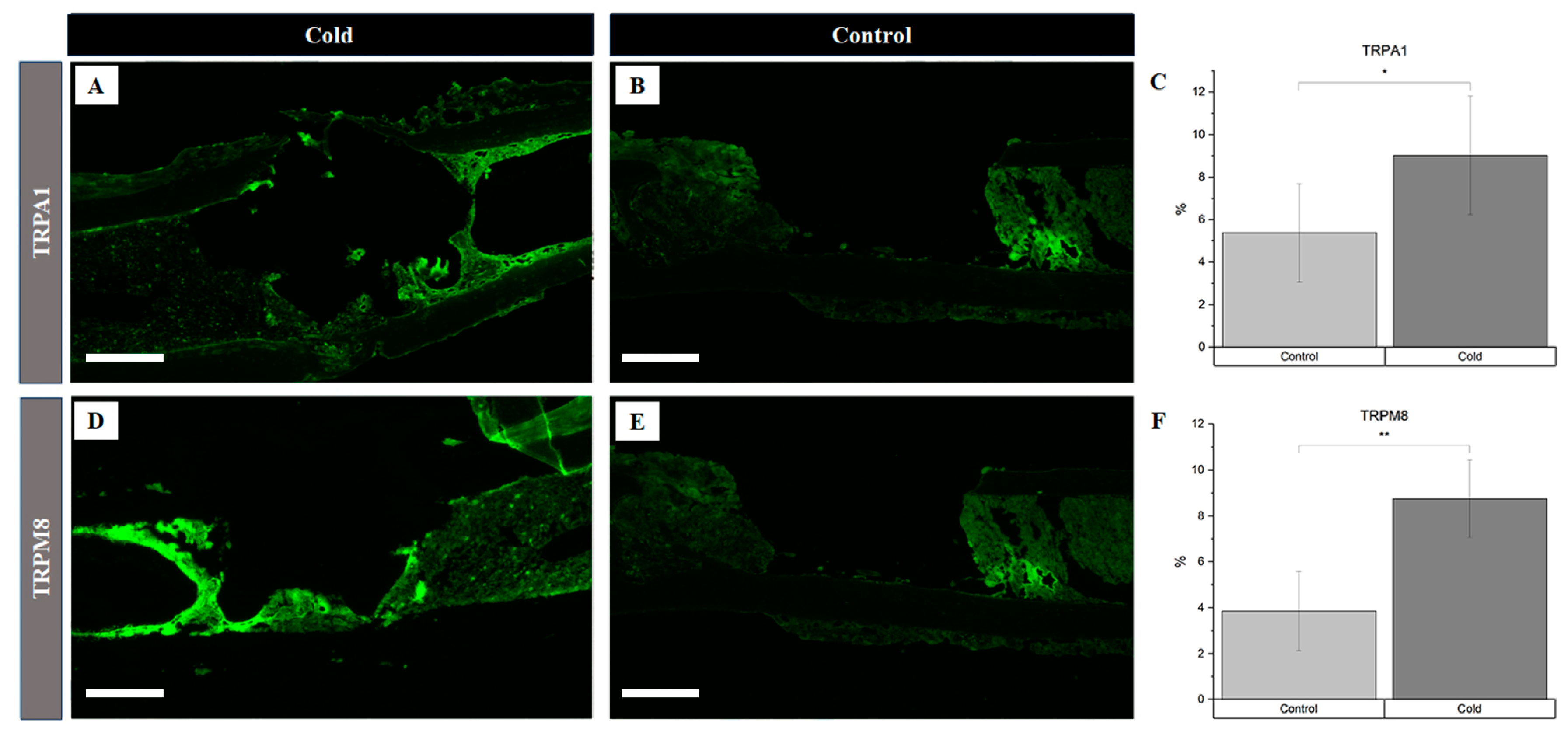 Biomedicines 12 02045 g002