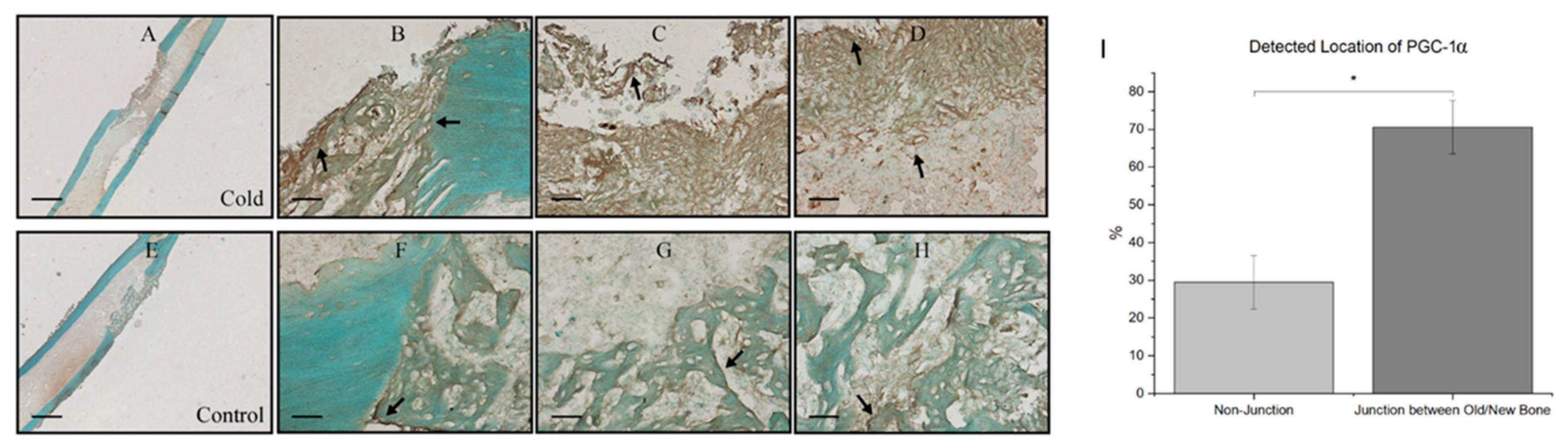 Biomedicines 12 02045 g005
