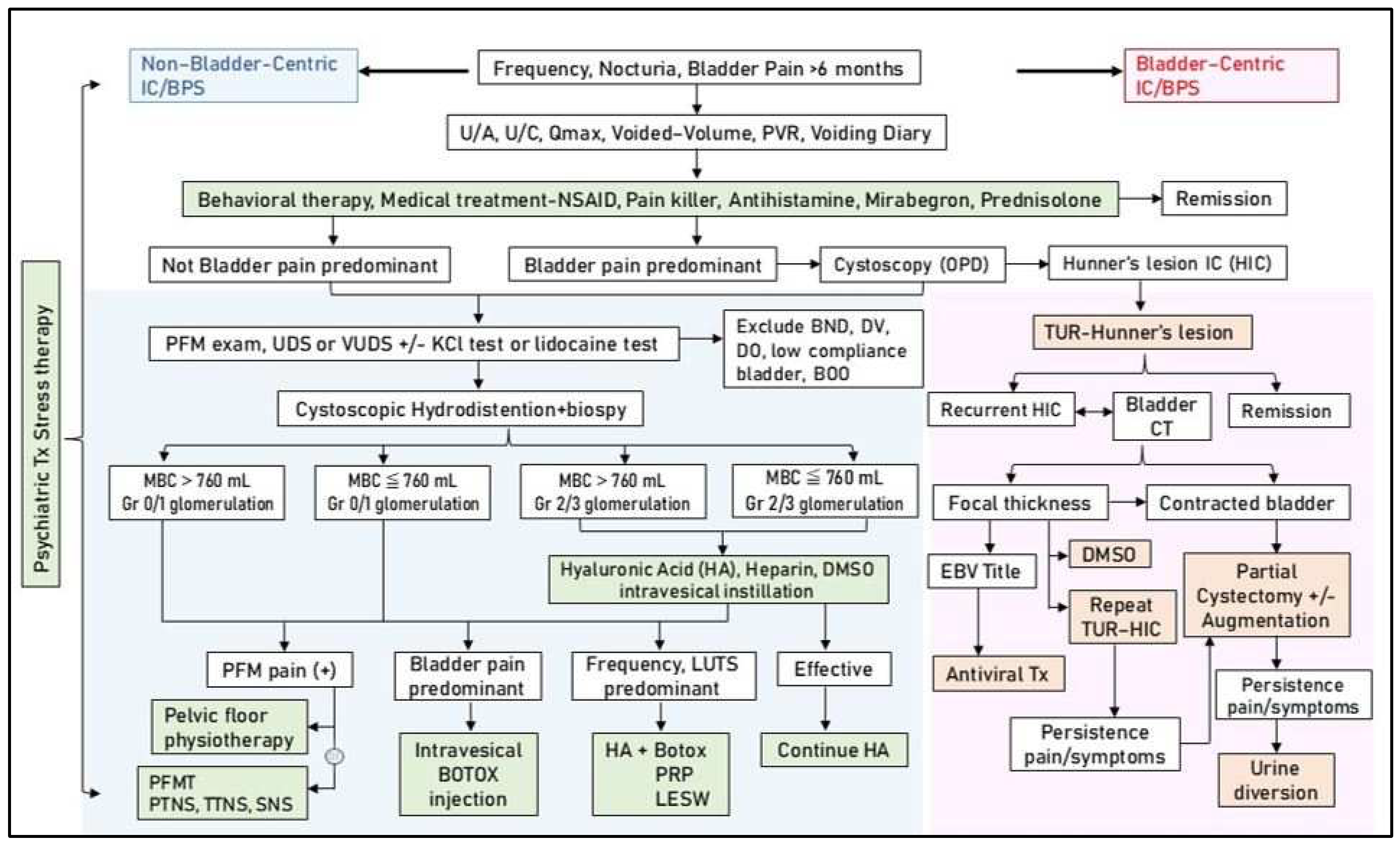 Biomedicines 12 02051 g003