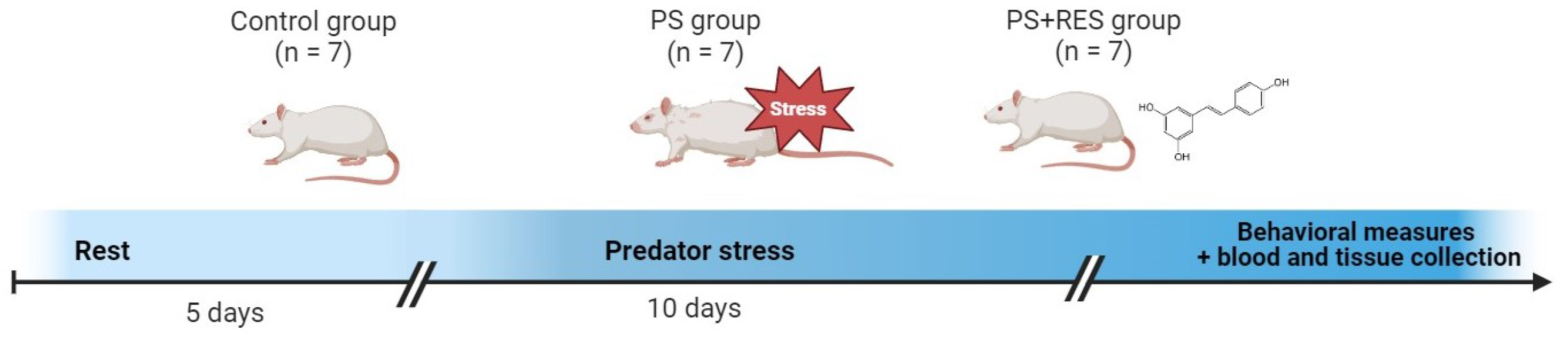 Biomedicines 12 02063 g001