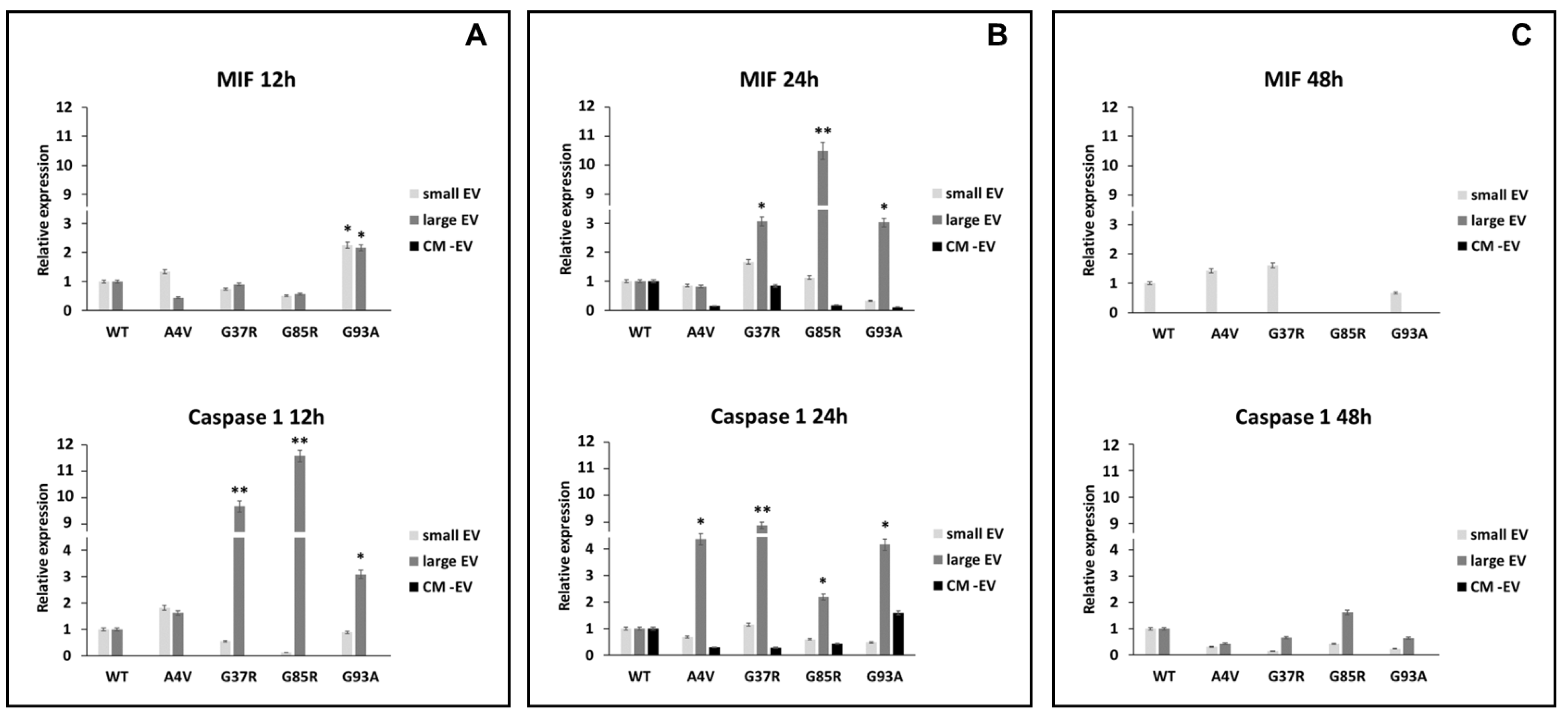 Biomedicines 12 02069 g003