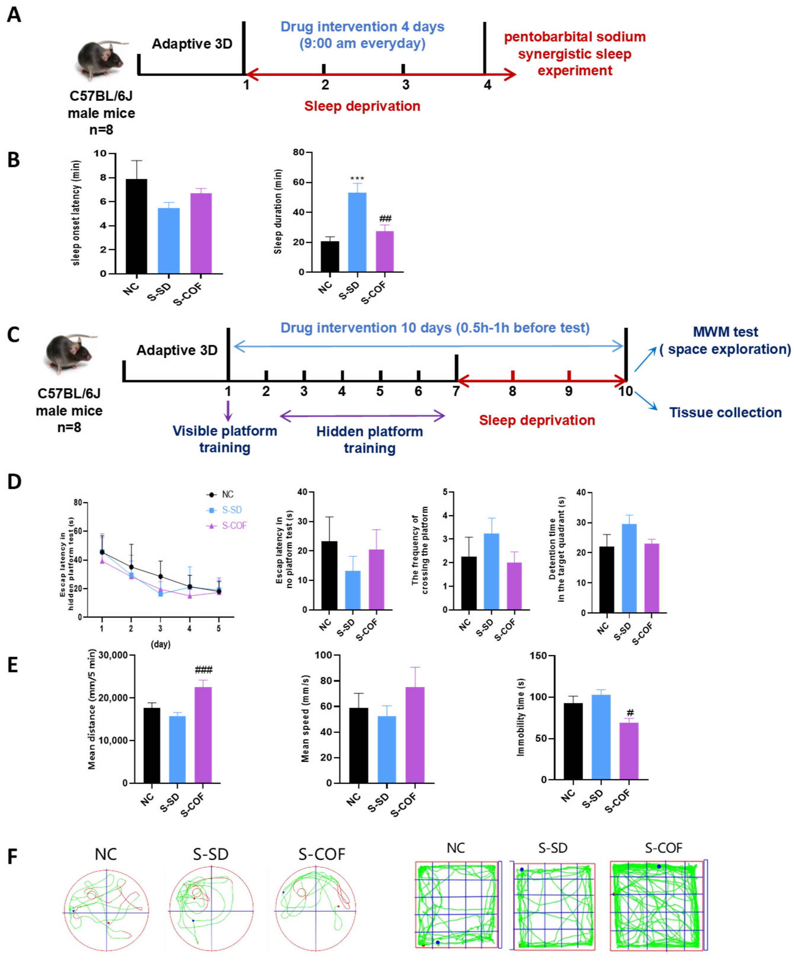 Biomedicines 12 02070 g001