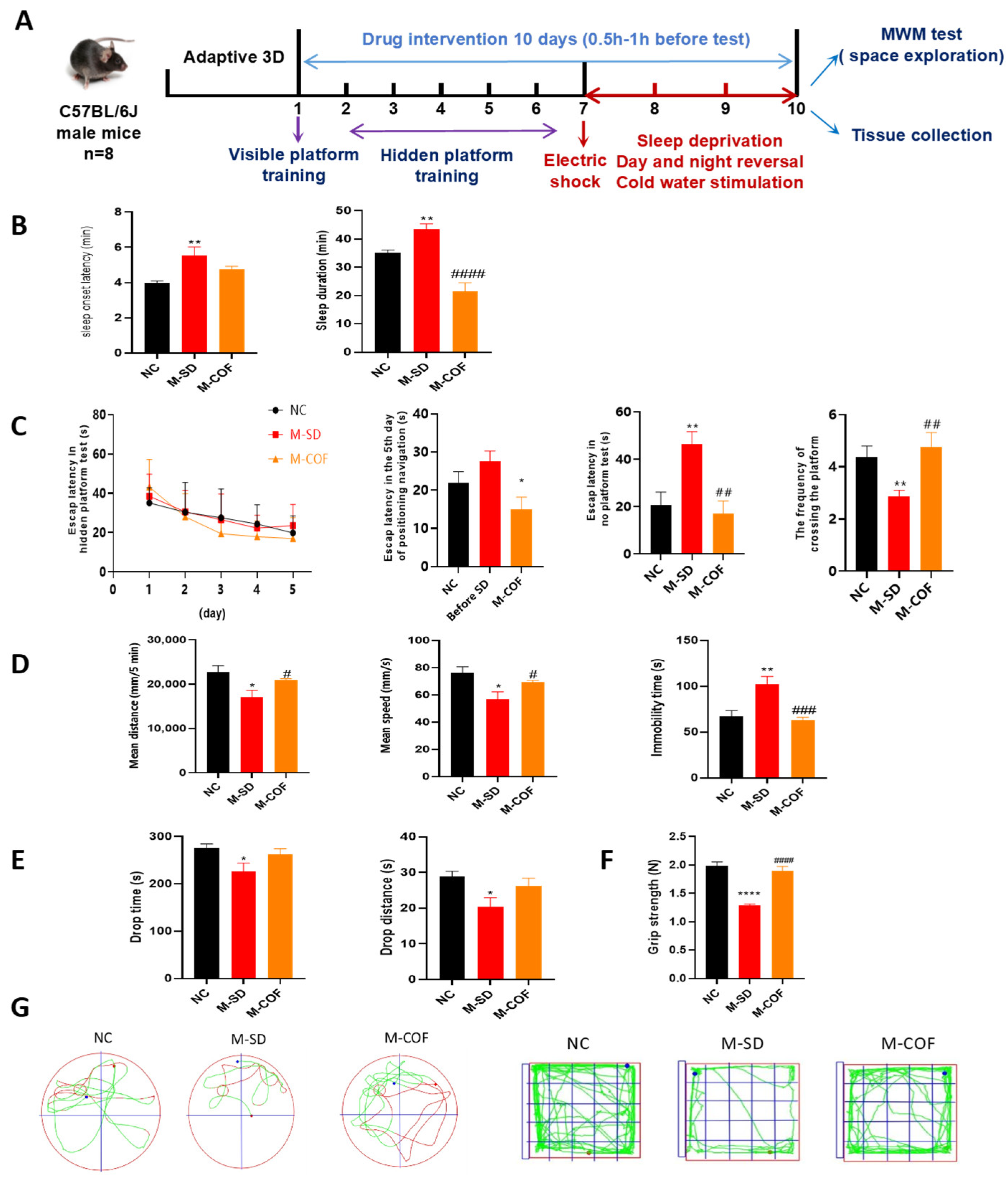 Biomedicines 12 02070 g002