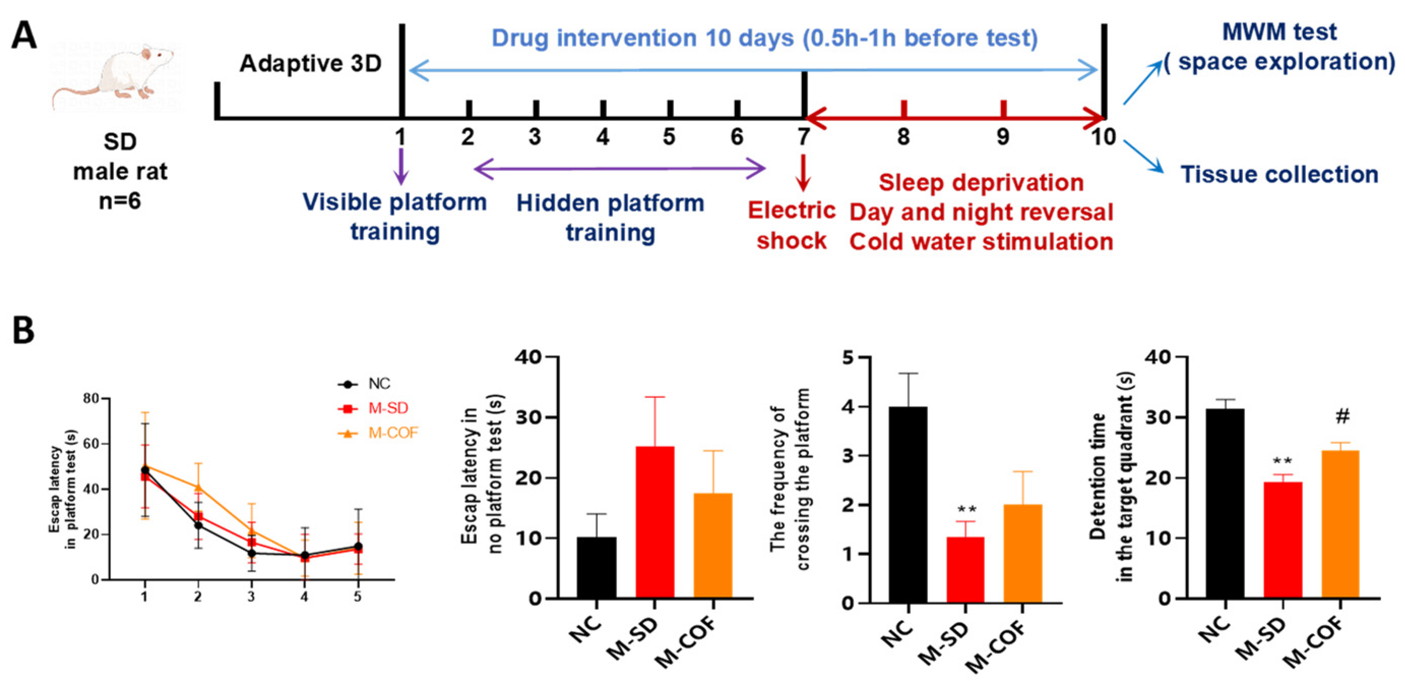 Biomedicines 12 02070 g005