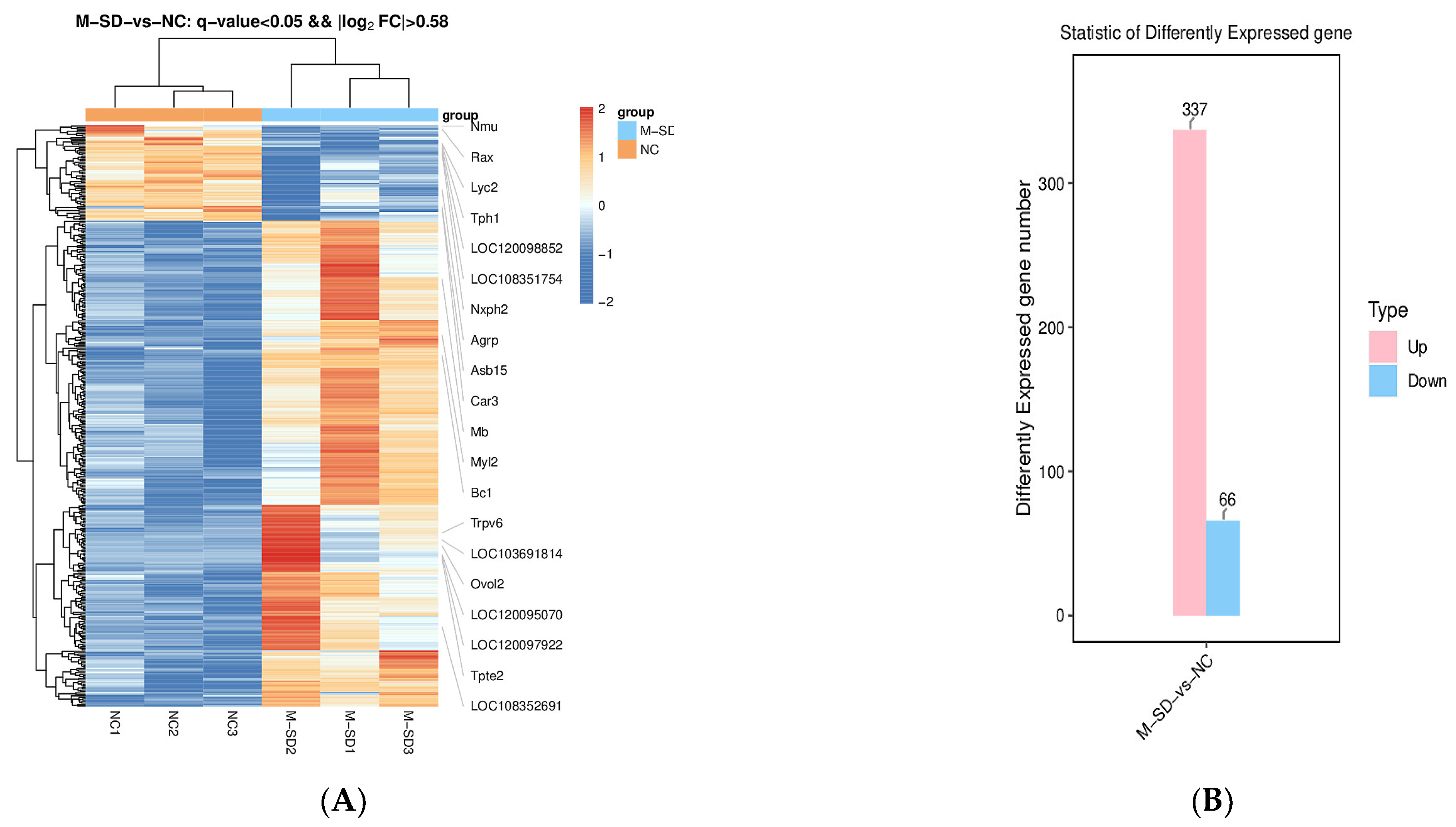 Biomedicines 12 02070 g007a