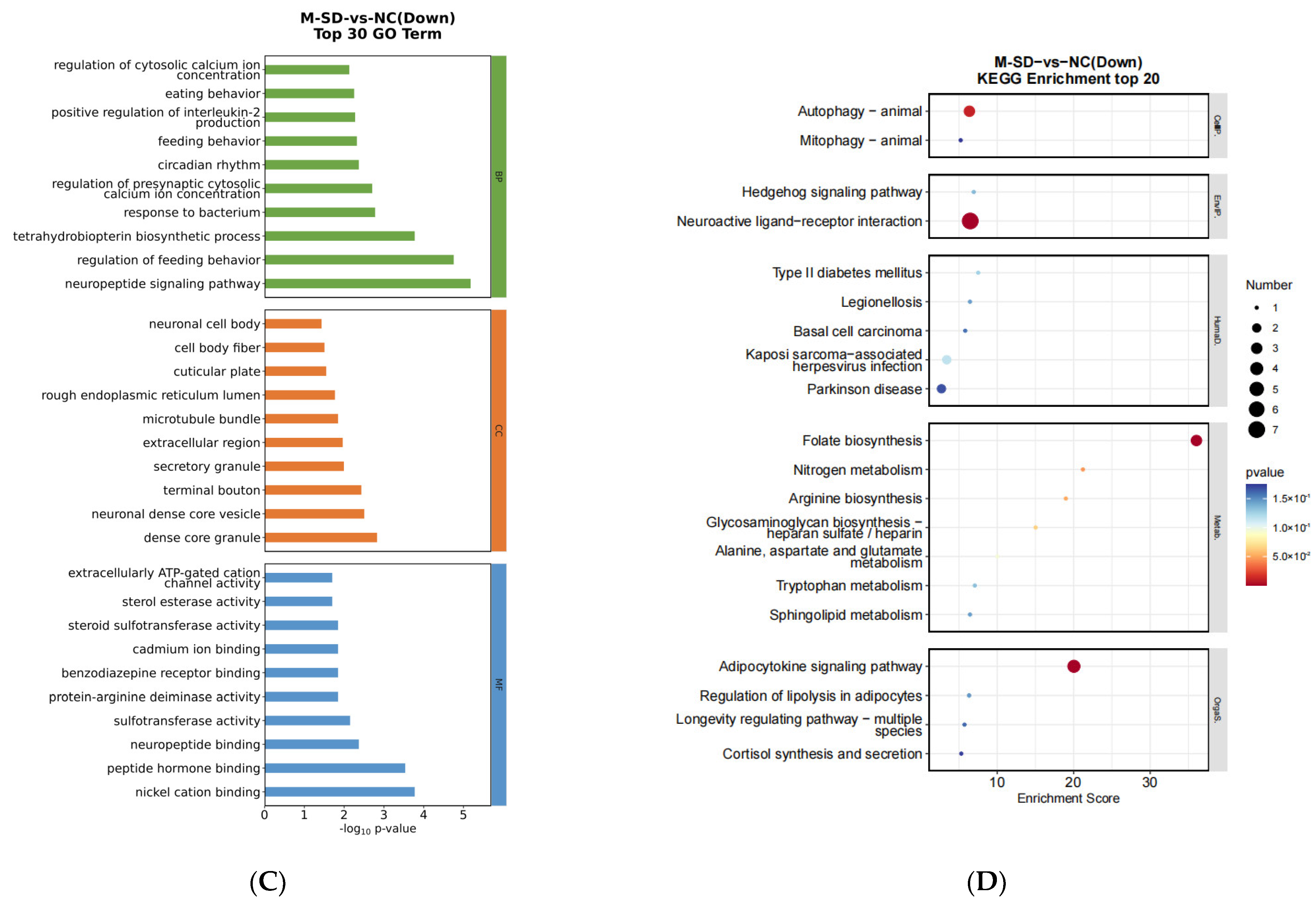 Biomedicines 12 02070 g007b