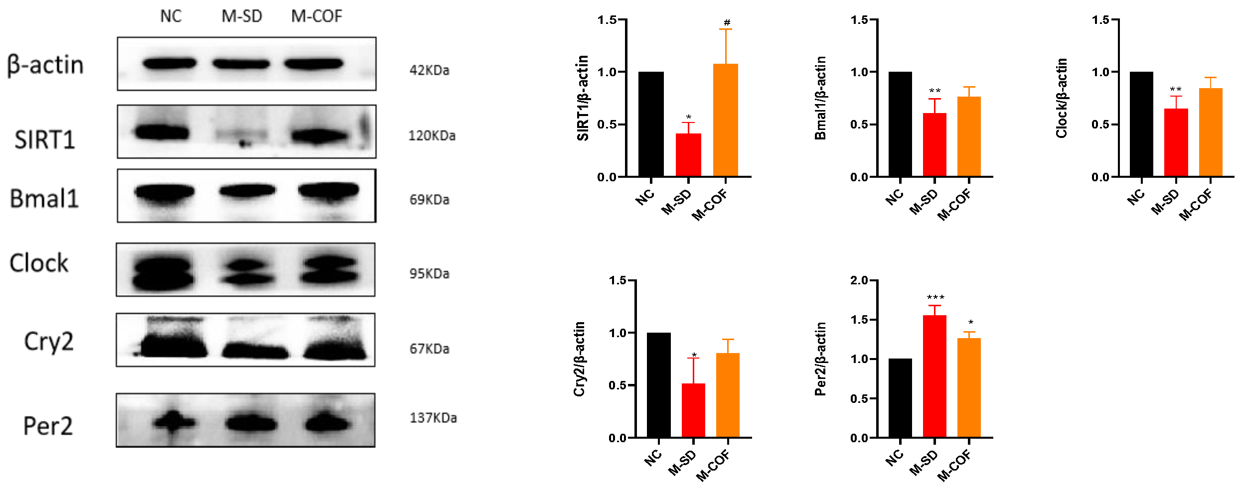 Biomedicines 12 02070 g008