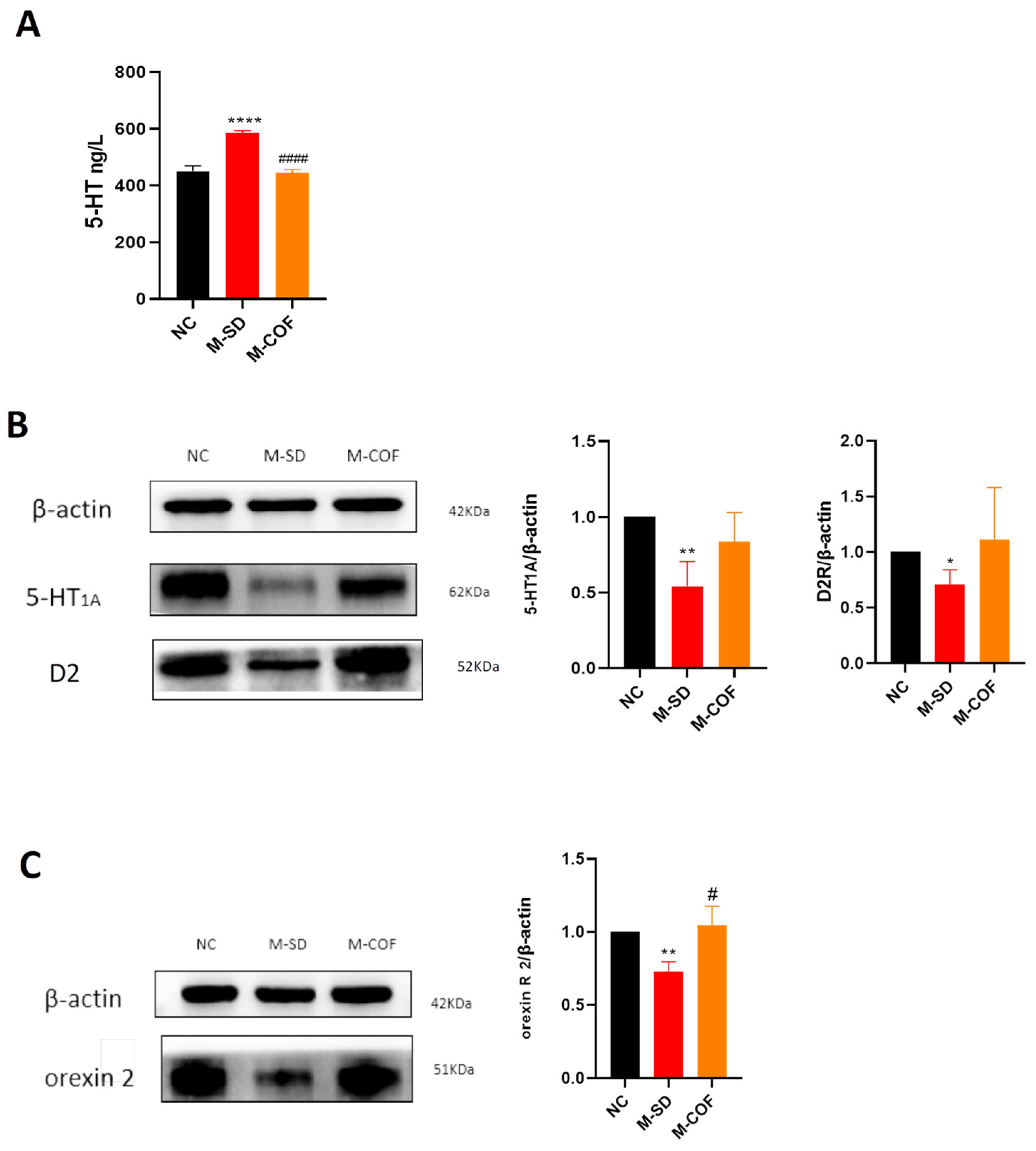 Biomedicines 12 02070 g009