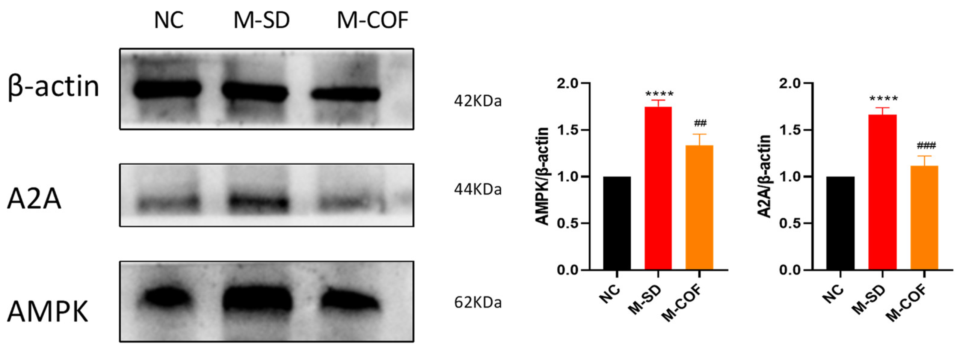 Biomedicines 12 02070 g010
