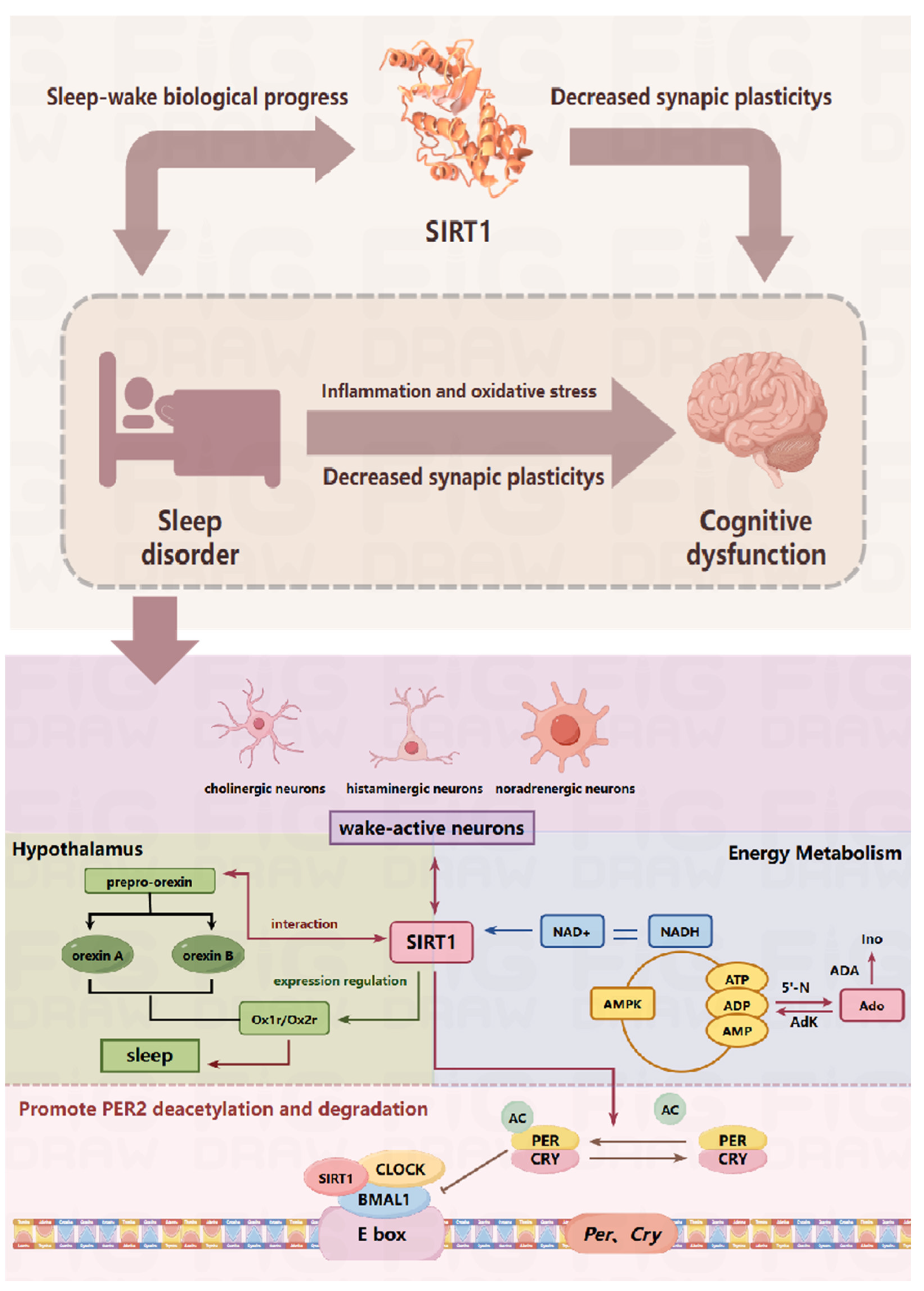 Biomedicines 12 02070 g012