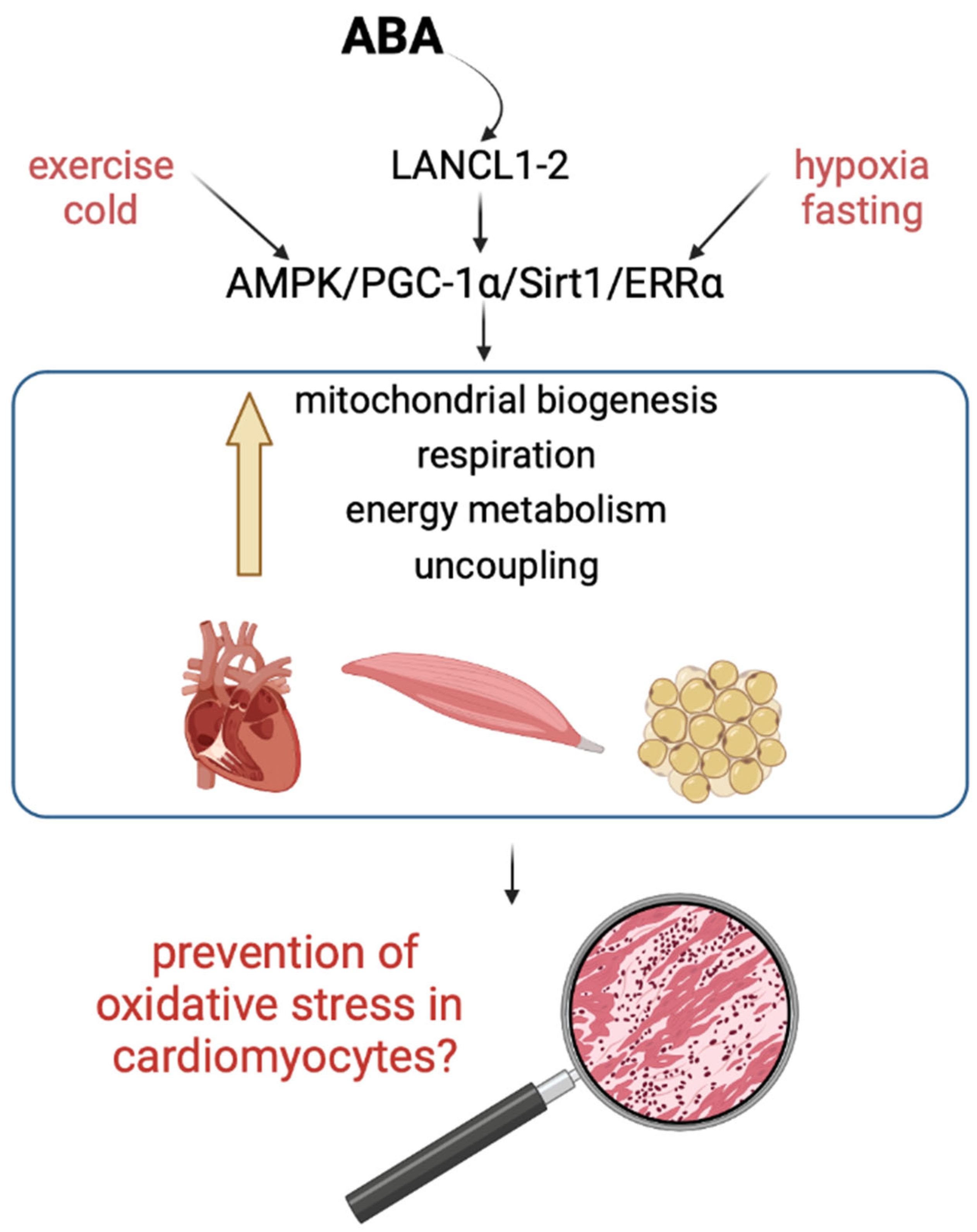 Biomedicines 12 02071 g001