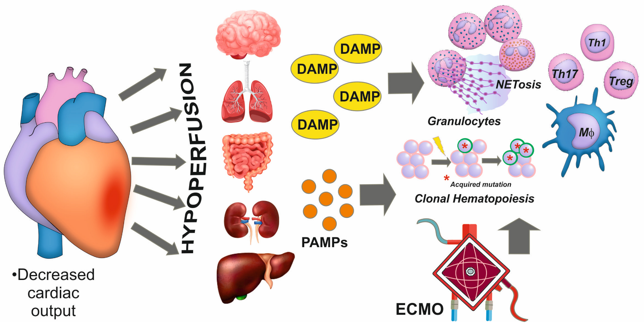 Biomedicines 12 02073 g002