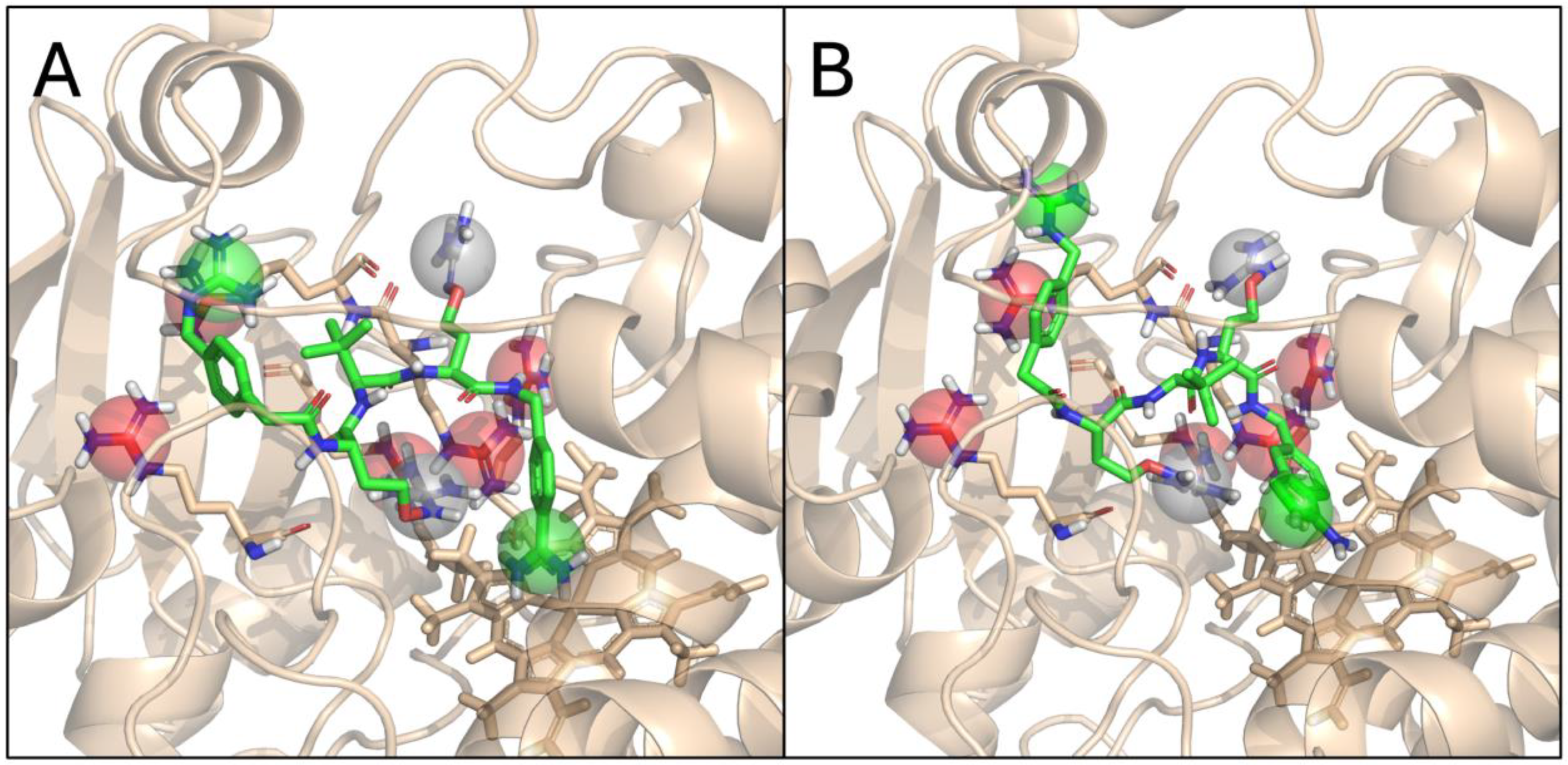 Biomedicines 12 02075 g009