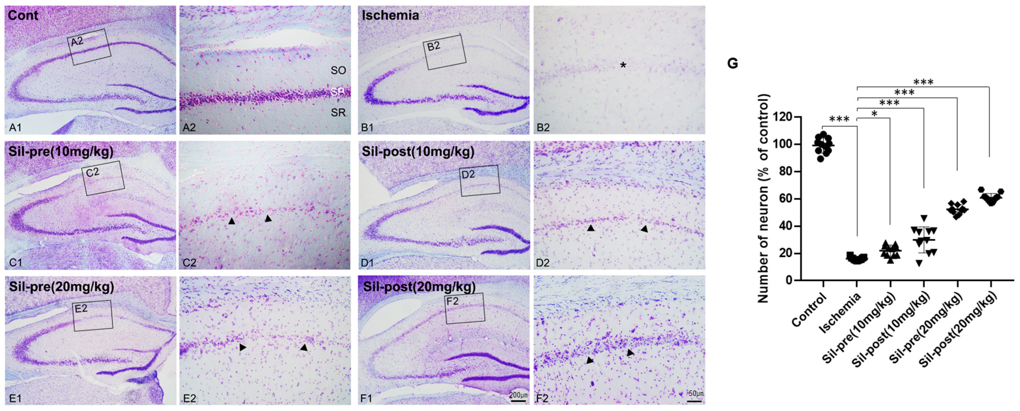 Biomedicines 12 02077 g002 Biomedicines 12 02077 g002
