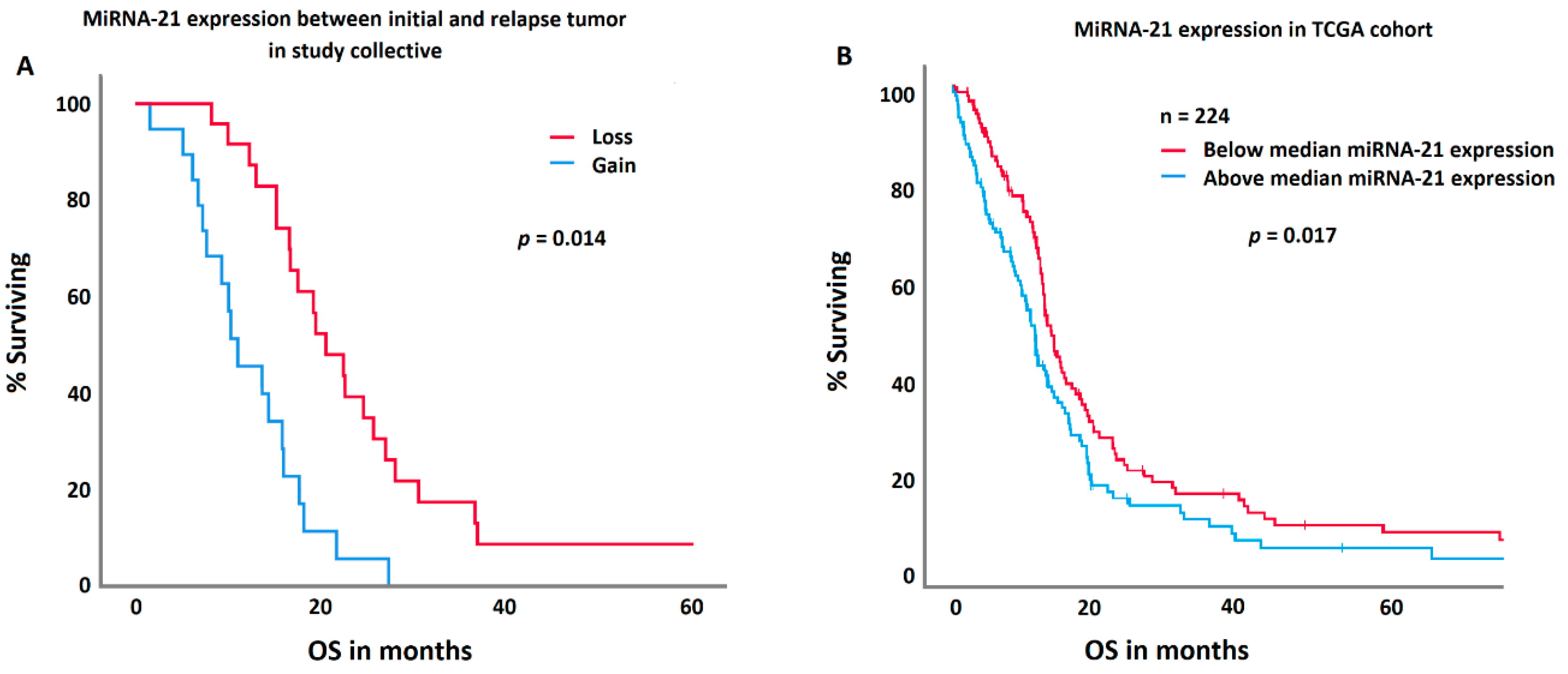 Biomedicines 12 02078 g004