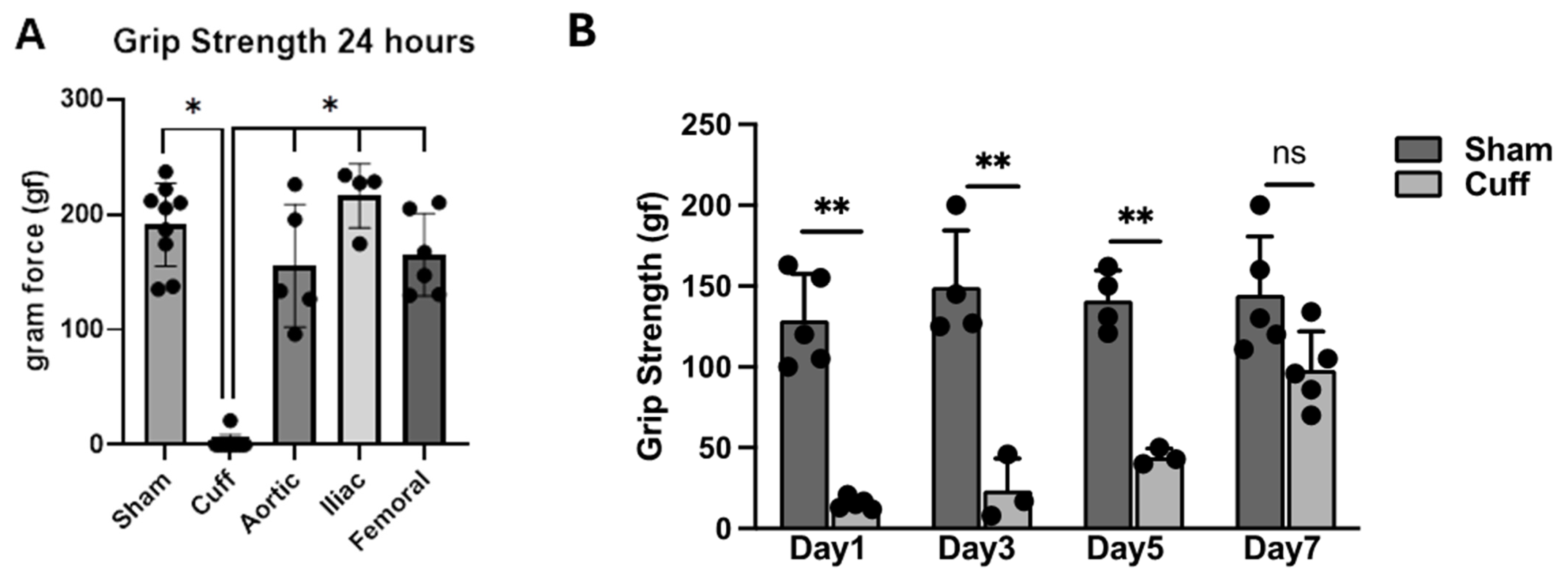Biomedicines 12 02079 g002