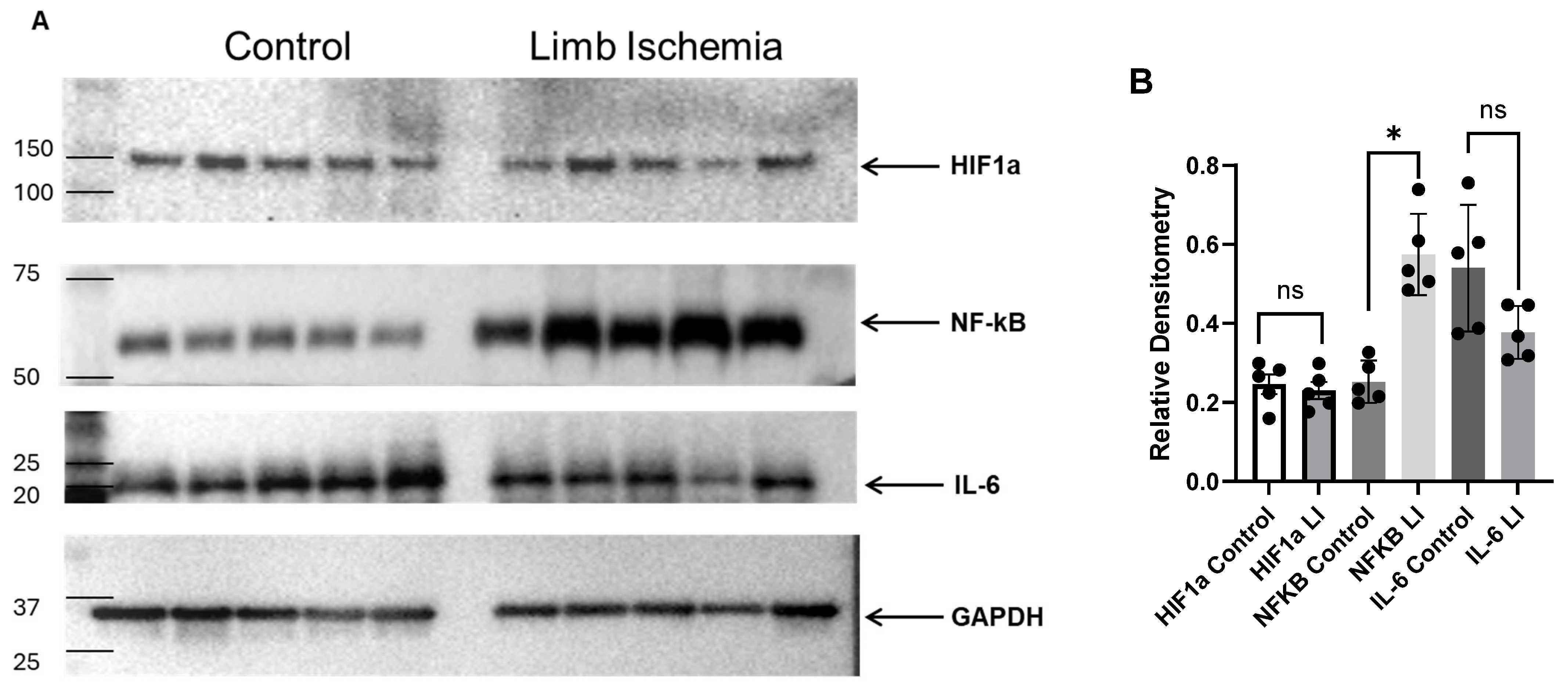 Biomedicines 12 02079 g004