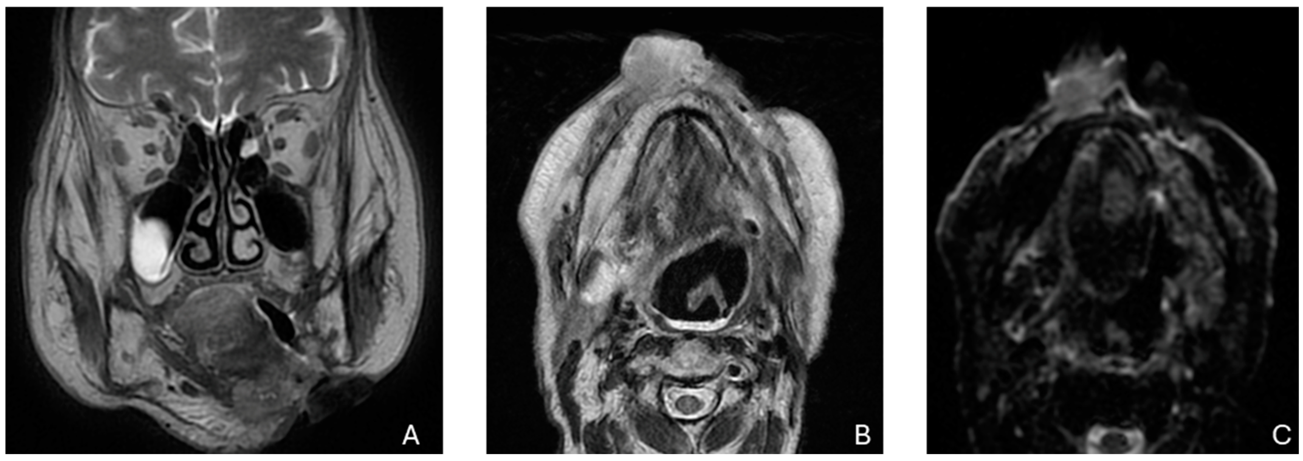 Biomedicines 12 02080 g001