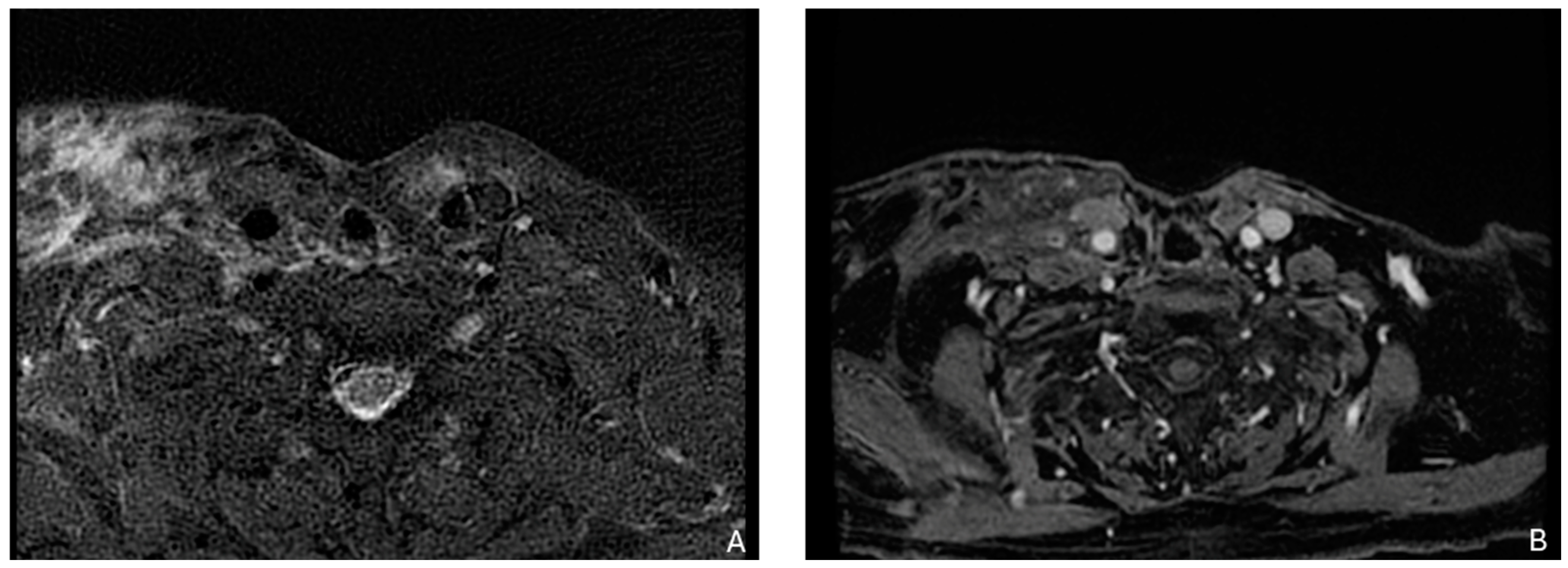 Biomedicines 12 02080 g002