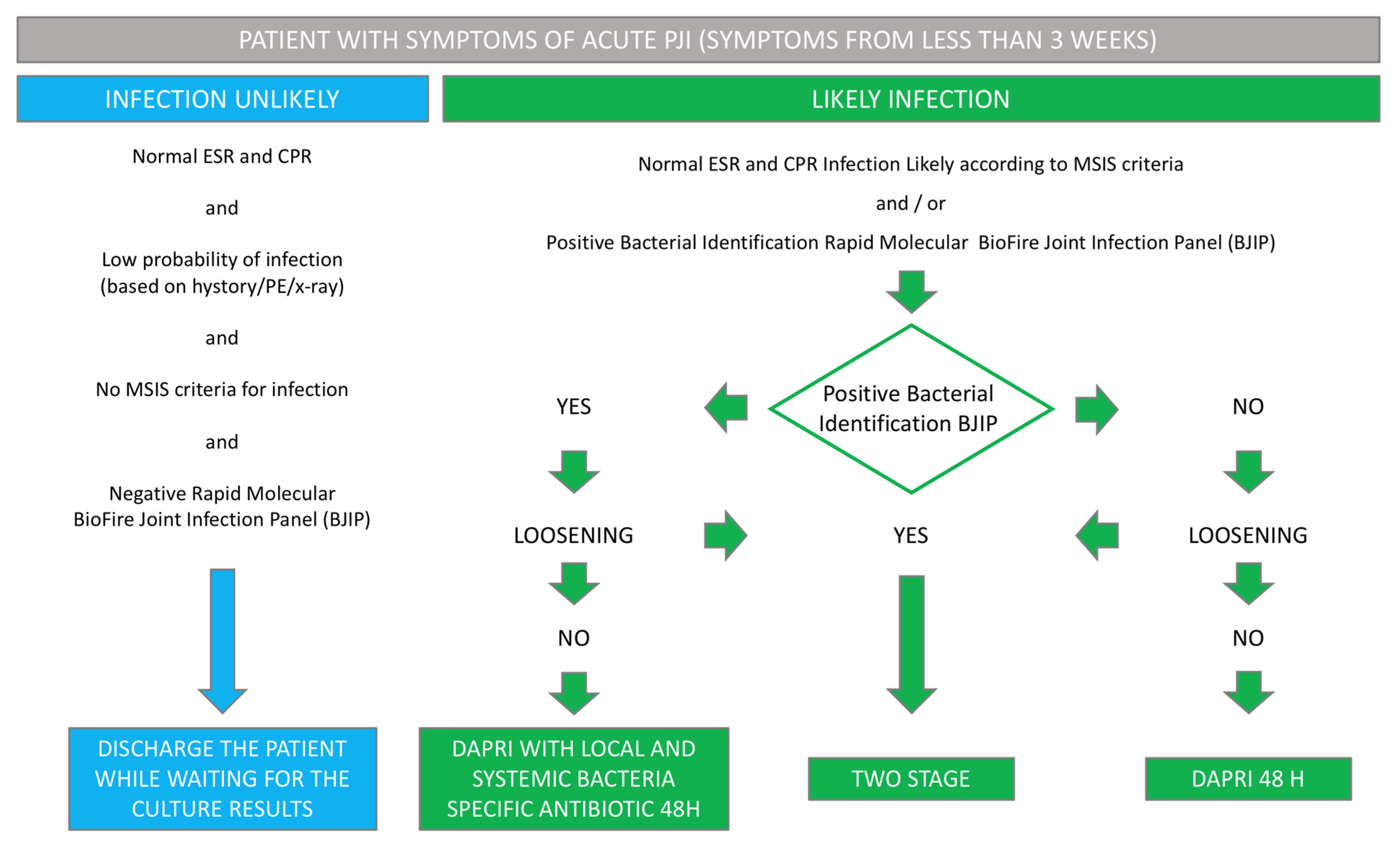 Biomedicines 12 02082 g001