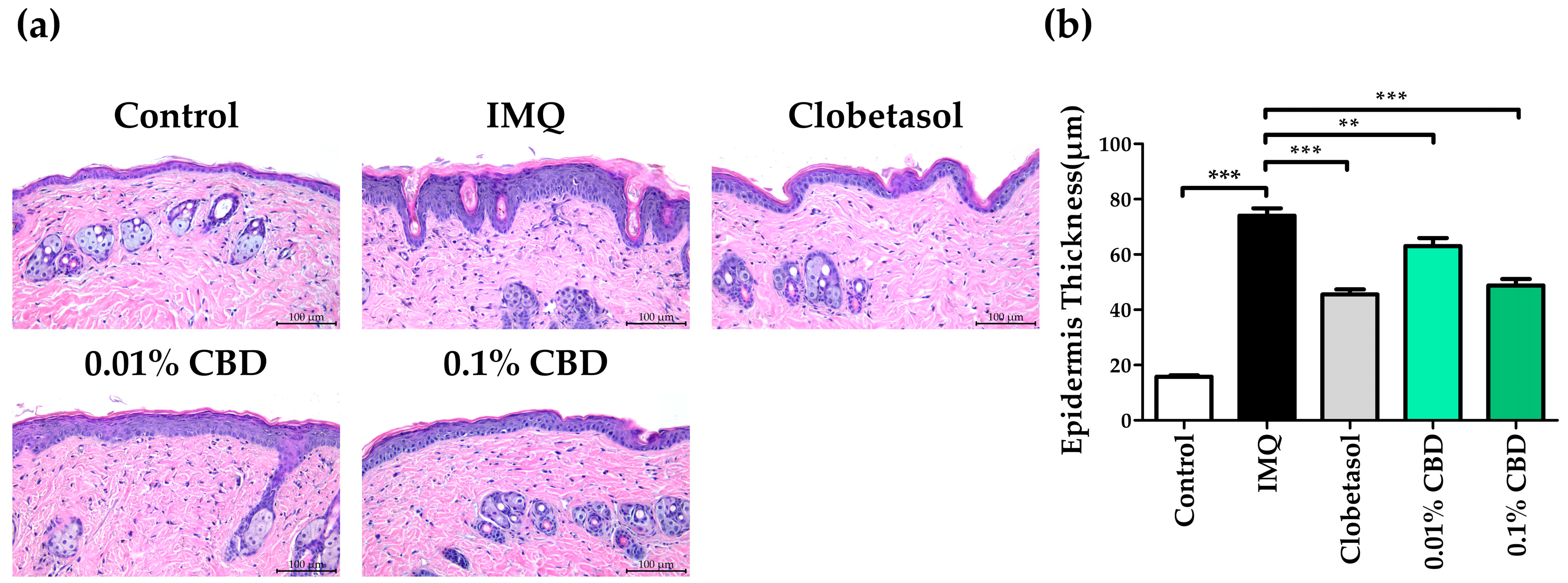 Biomedicines 12 02084 g003