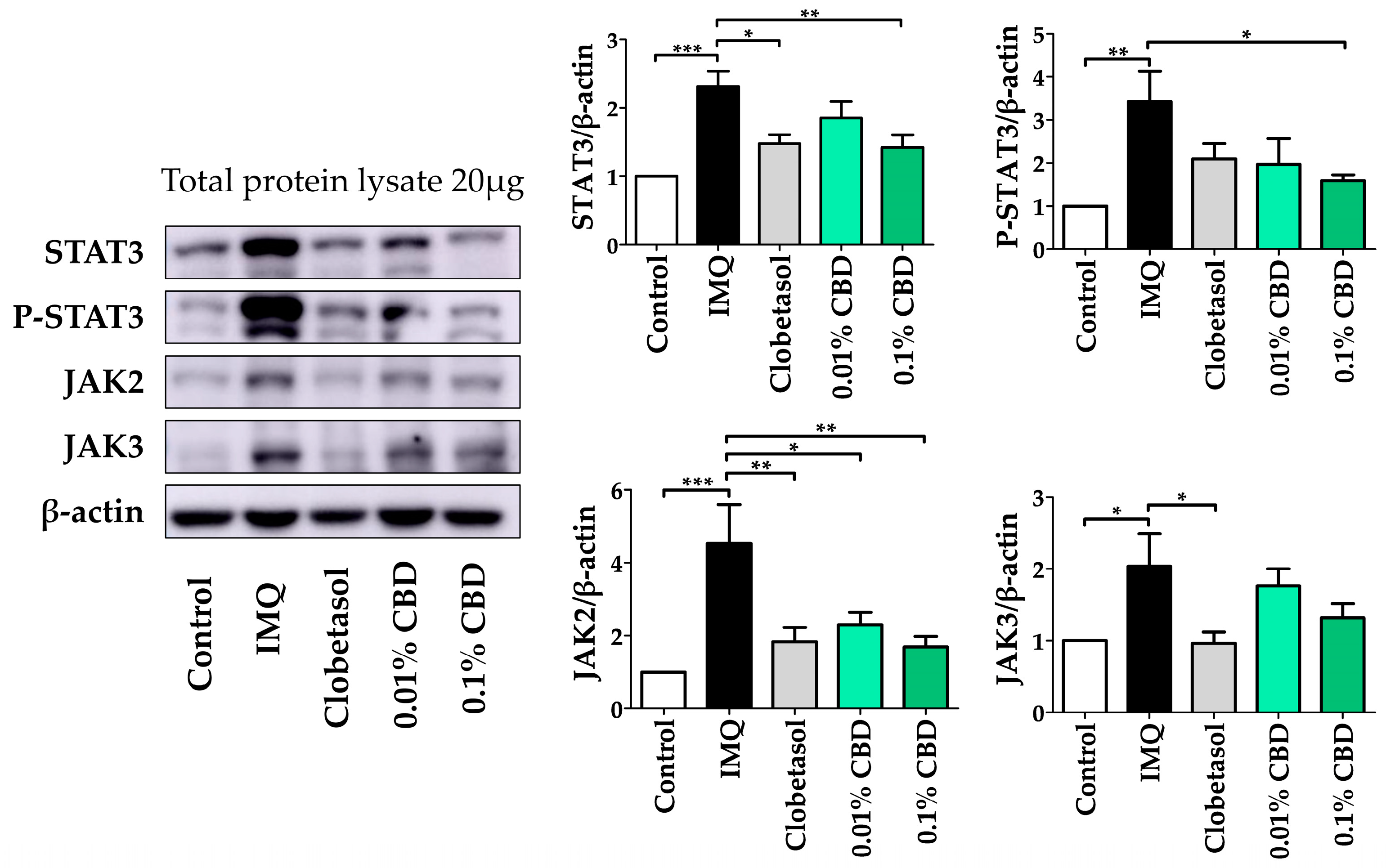 Biomedicines 12 02084 g005