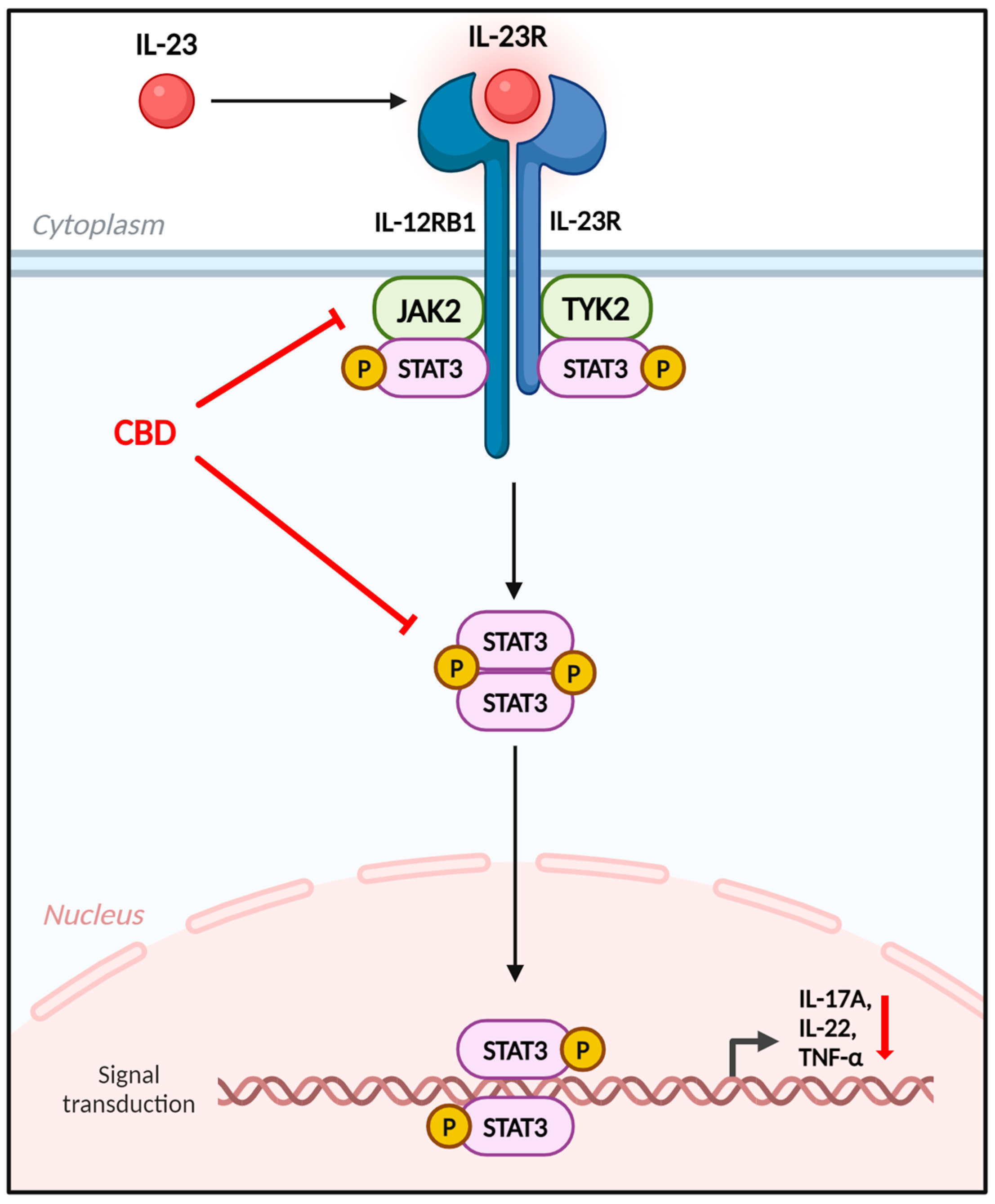 Biomedicines 12 02084 g007