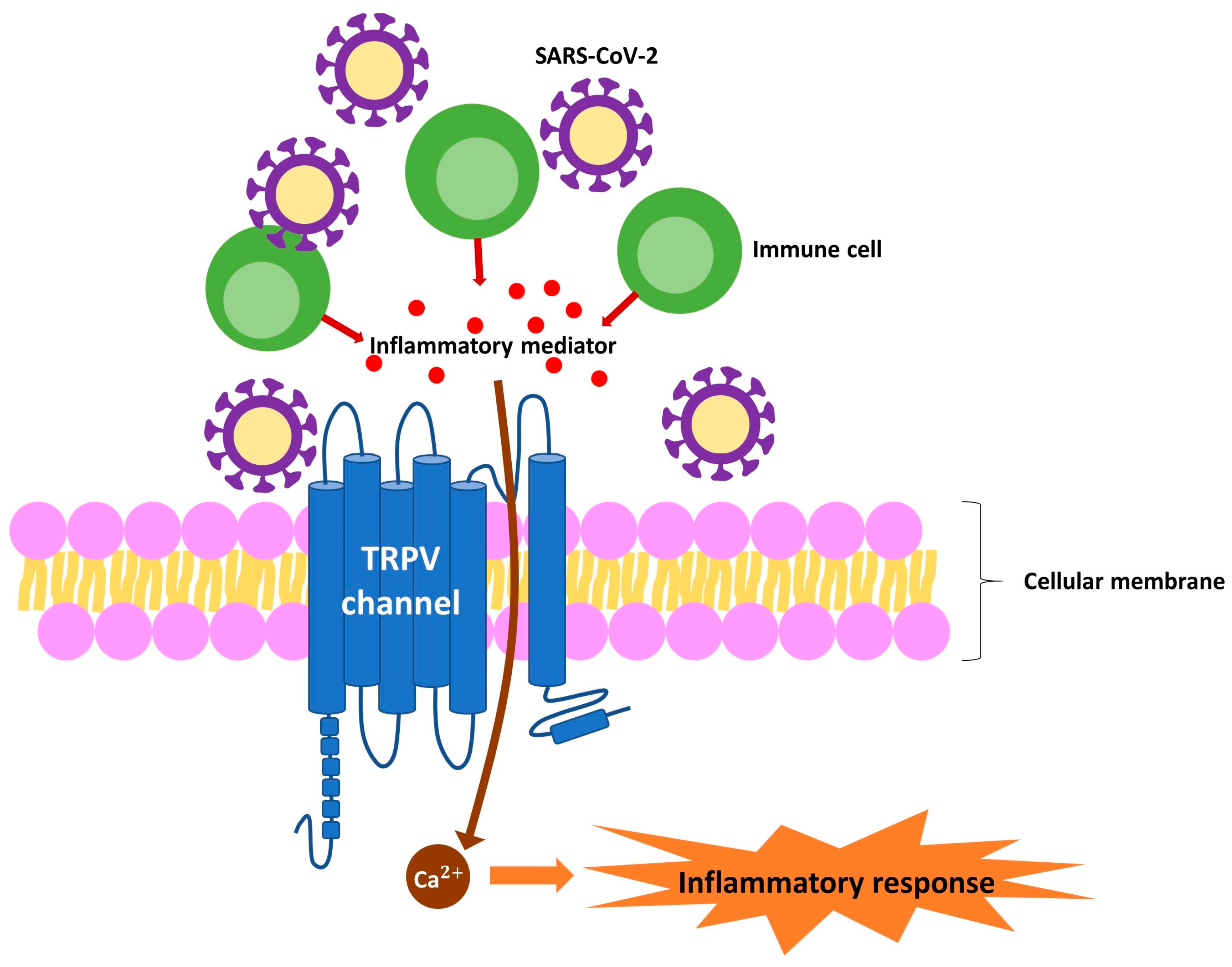 Biomedicines 12 02085 g002