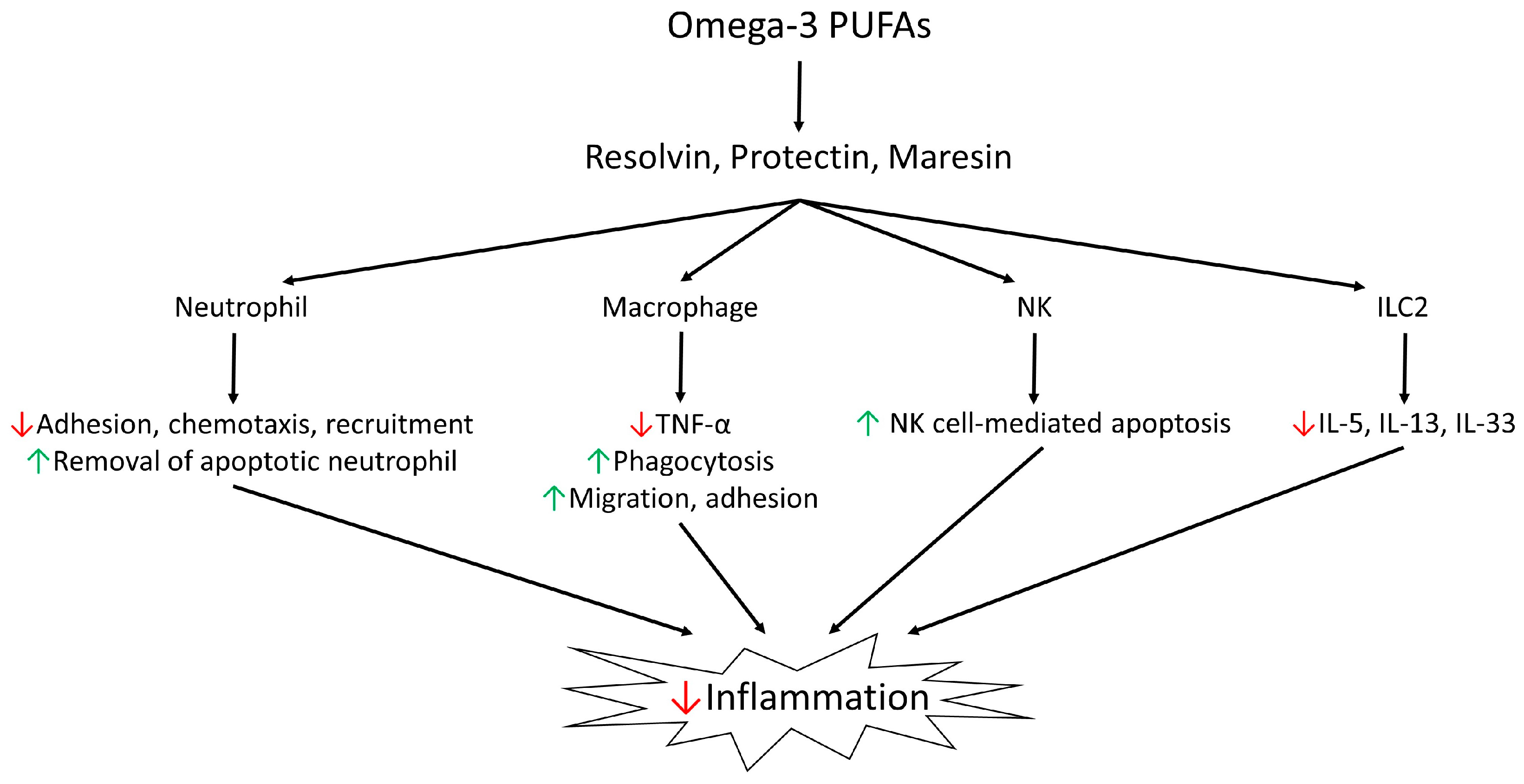 Biomedicines 12 02085 g005