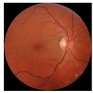 Biomedicines 12 02092 i001