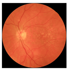 Biomedicines 12 02092 i011