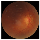 Biomedicines 12 02092 i017