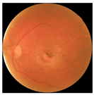 Biomedicines 12 02092 i019