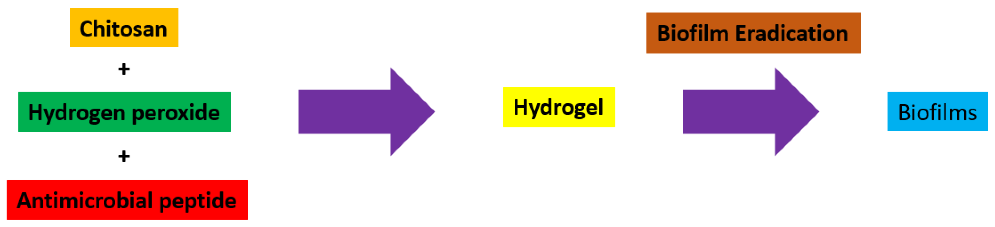 Biomedicines 12 02095 g002