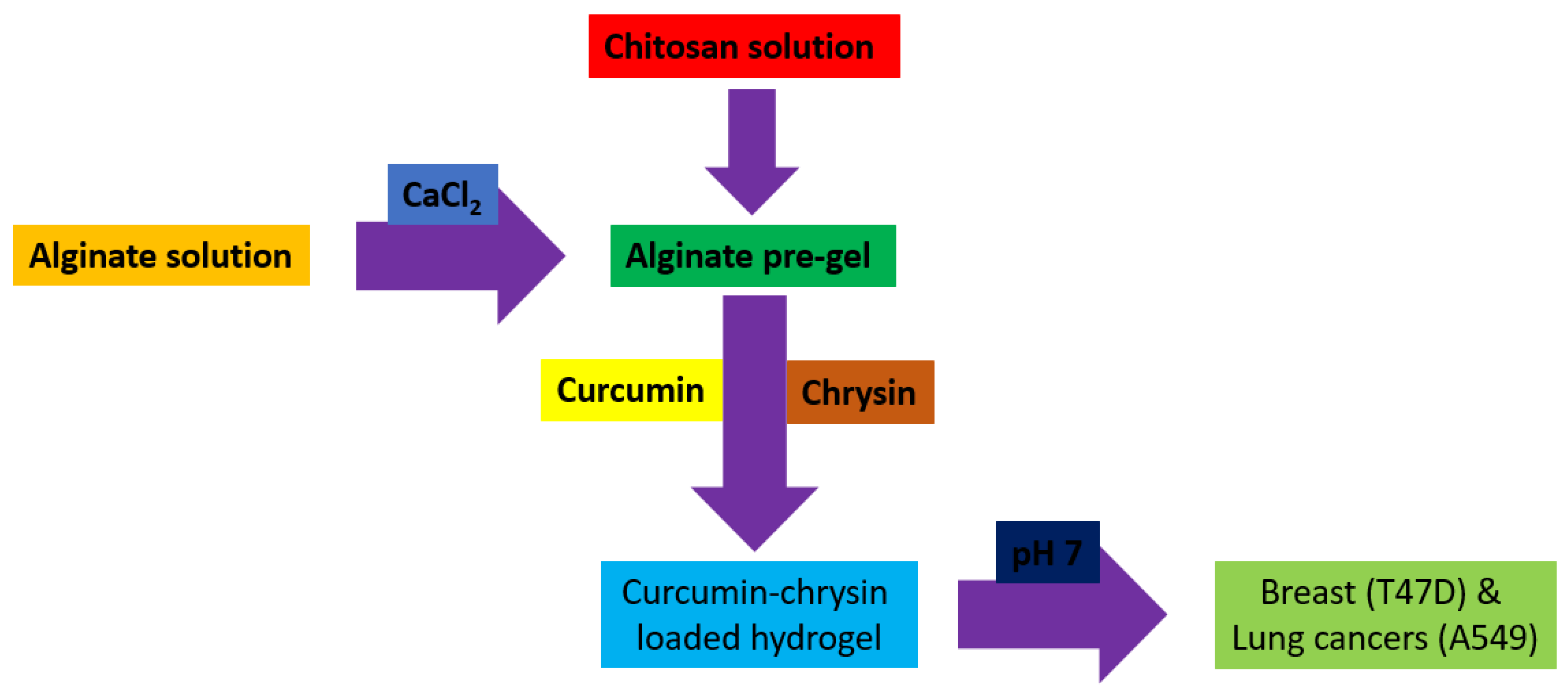 Biomedicines 12 02095 g003