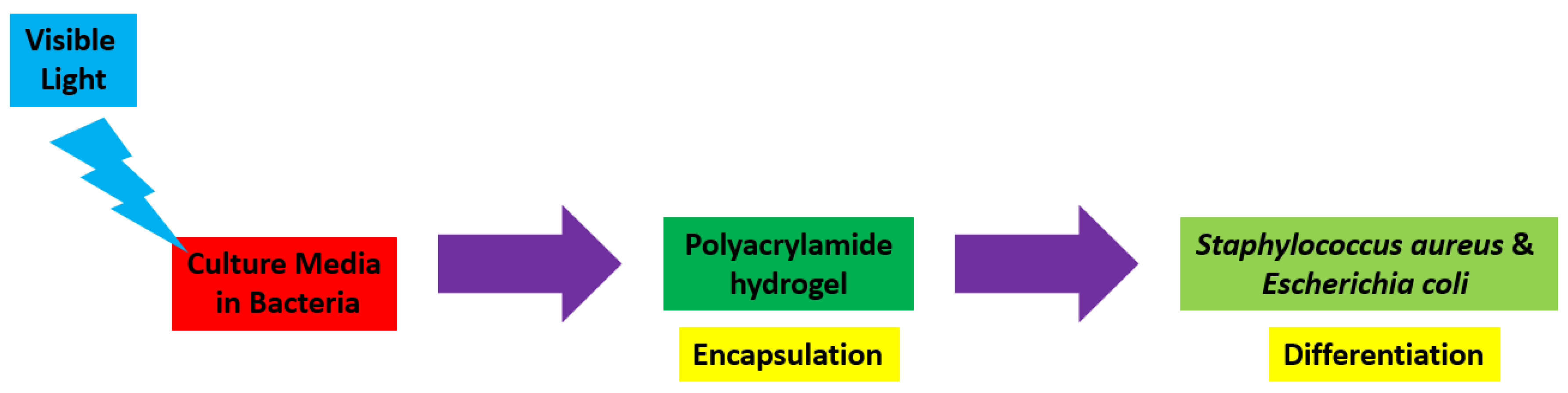 Biomedicines 12 02095 g004