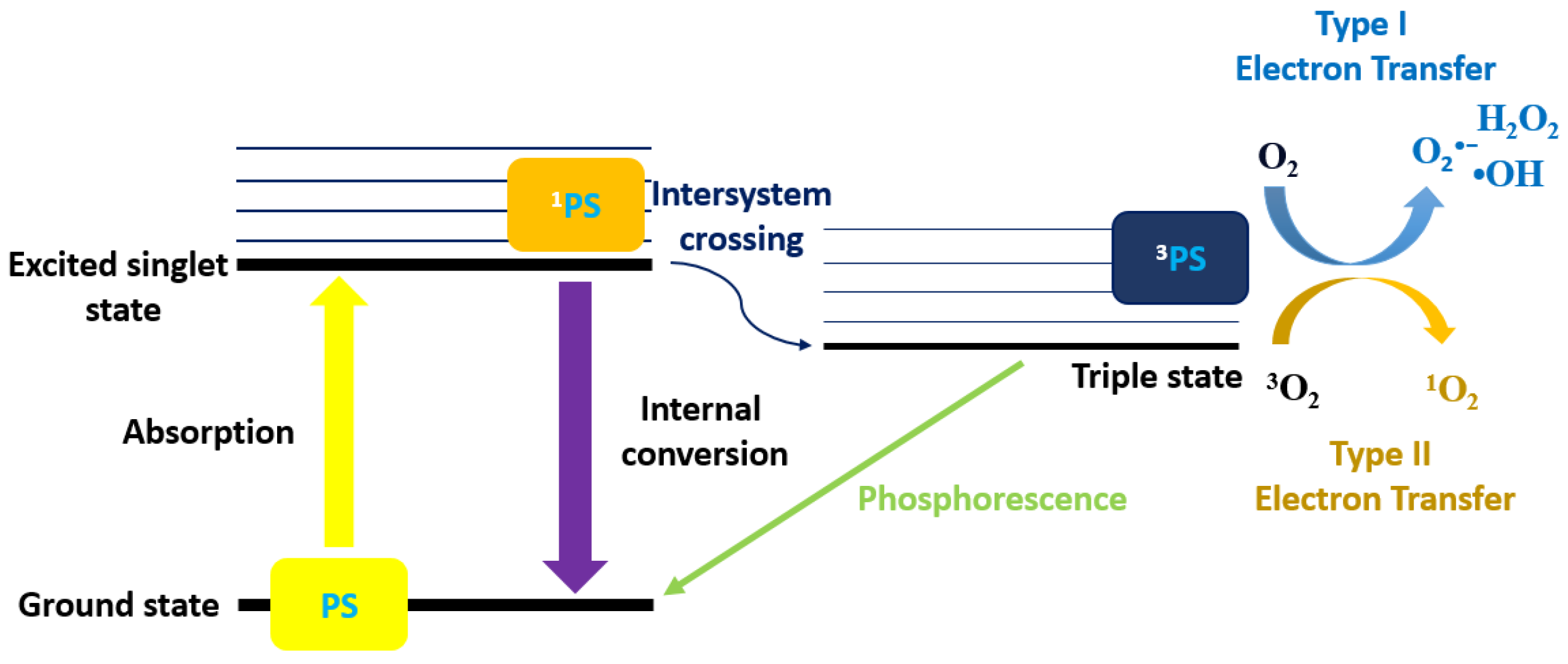 Biomedicines 12 02095 g006