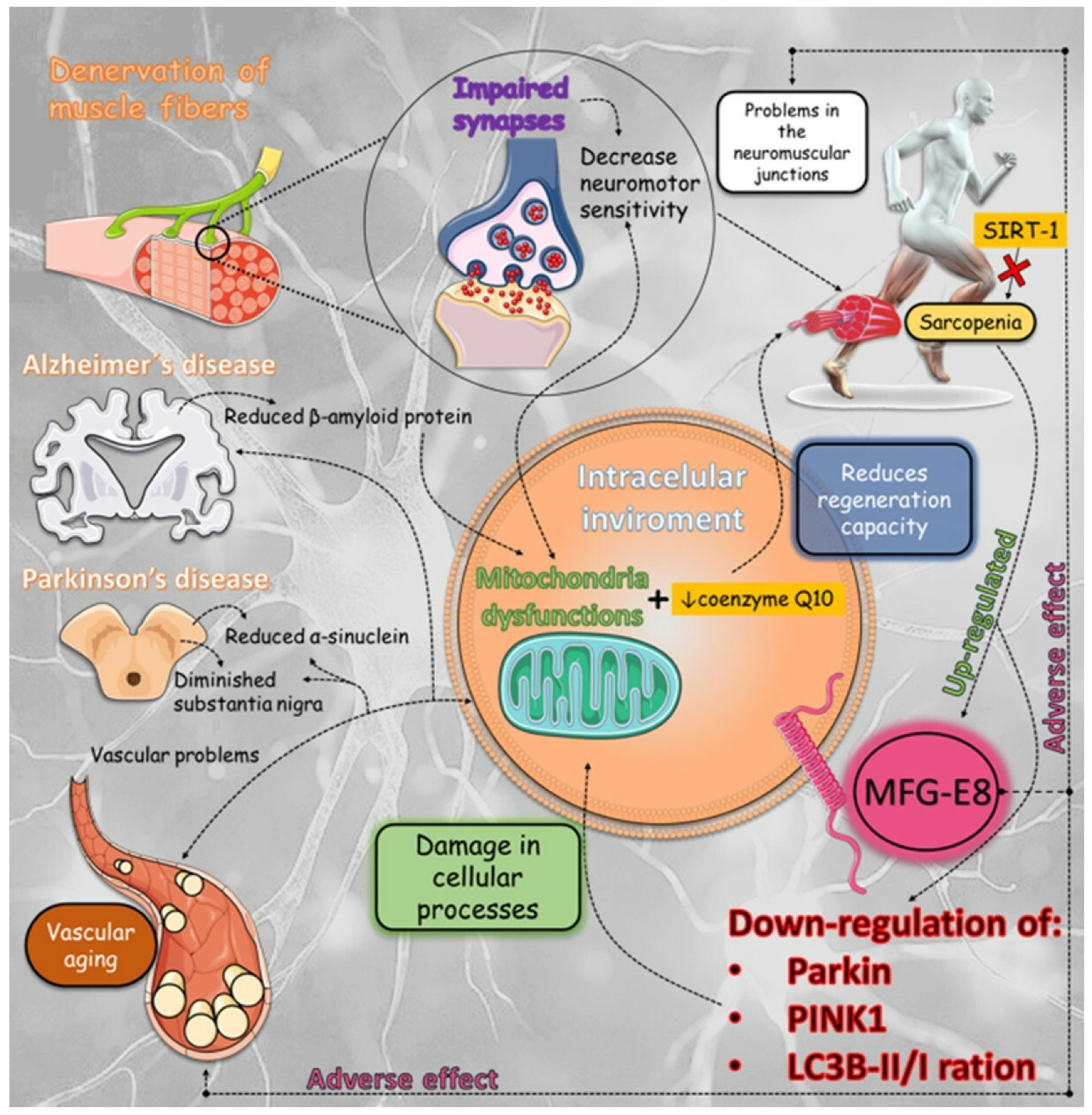 Biomedicines 12 02096 g003