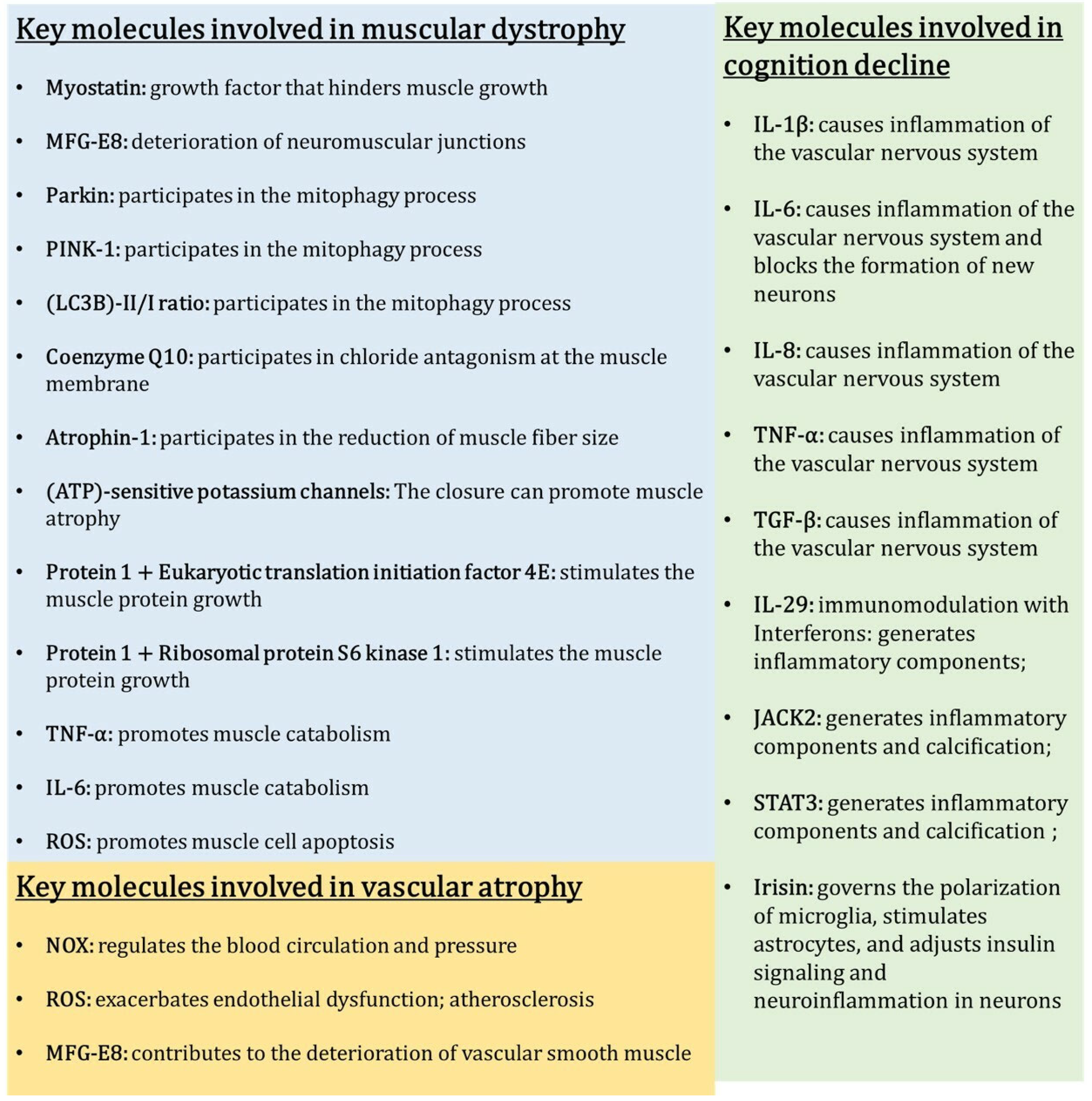 Biomedicines 12 02096 g004