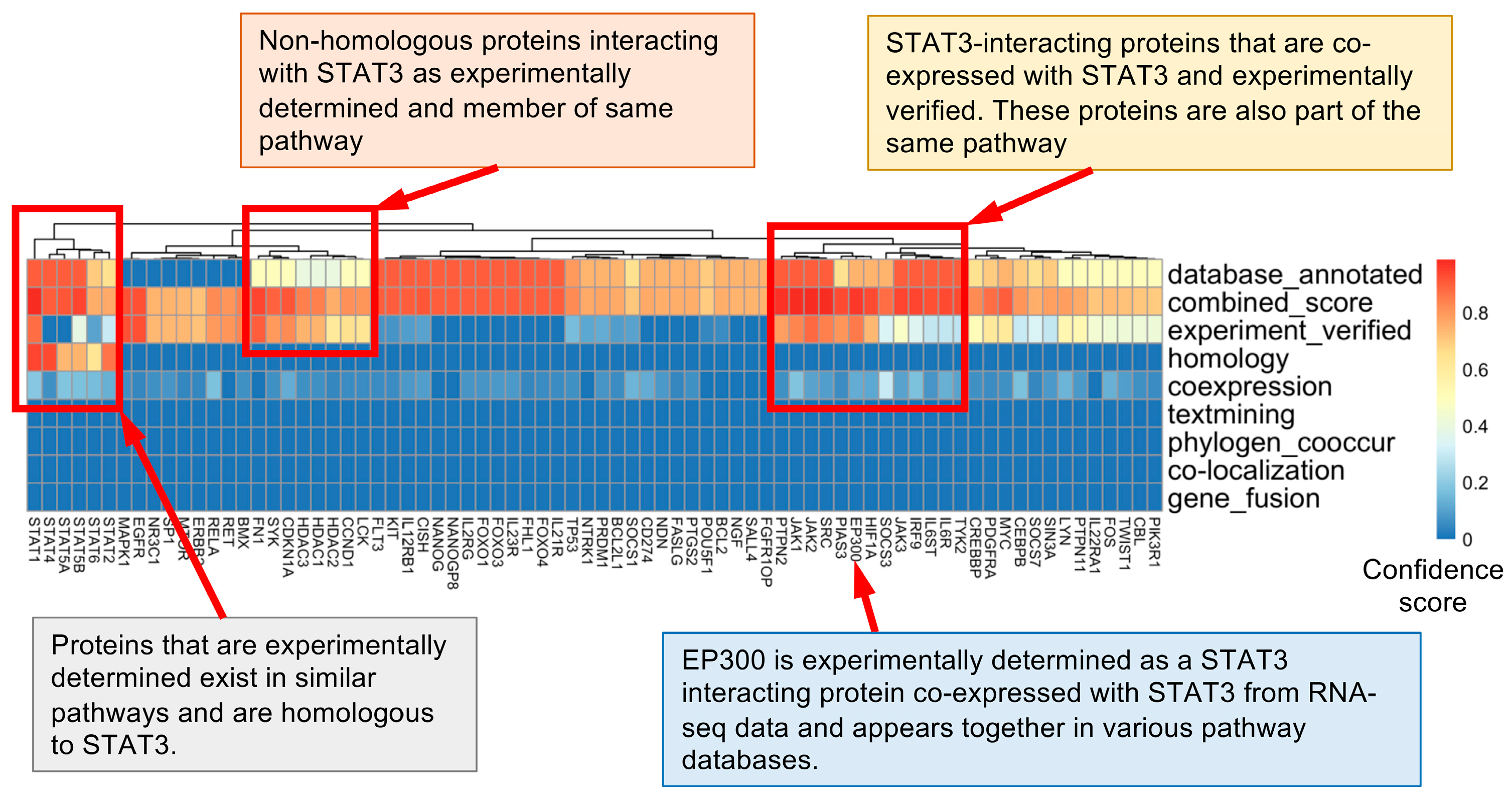 Biomedicines 12 02102 g002 Biomedicines 12 02102 g002