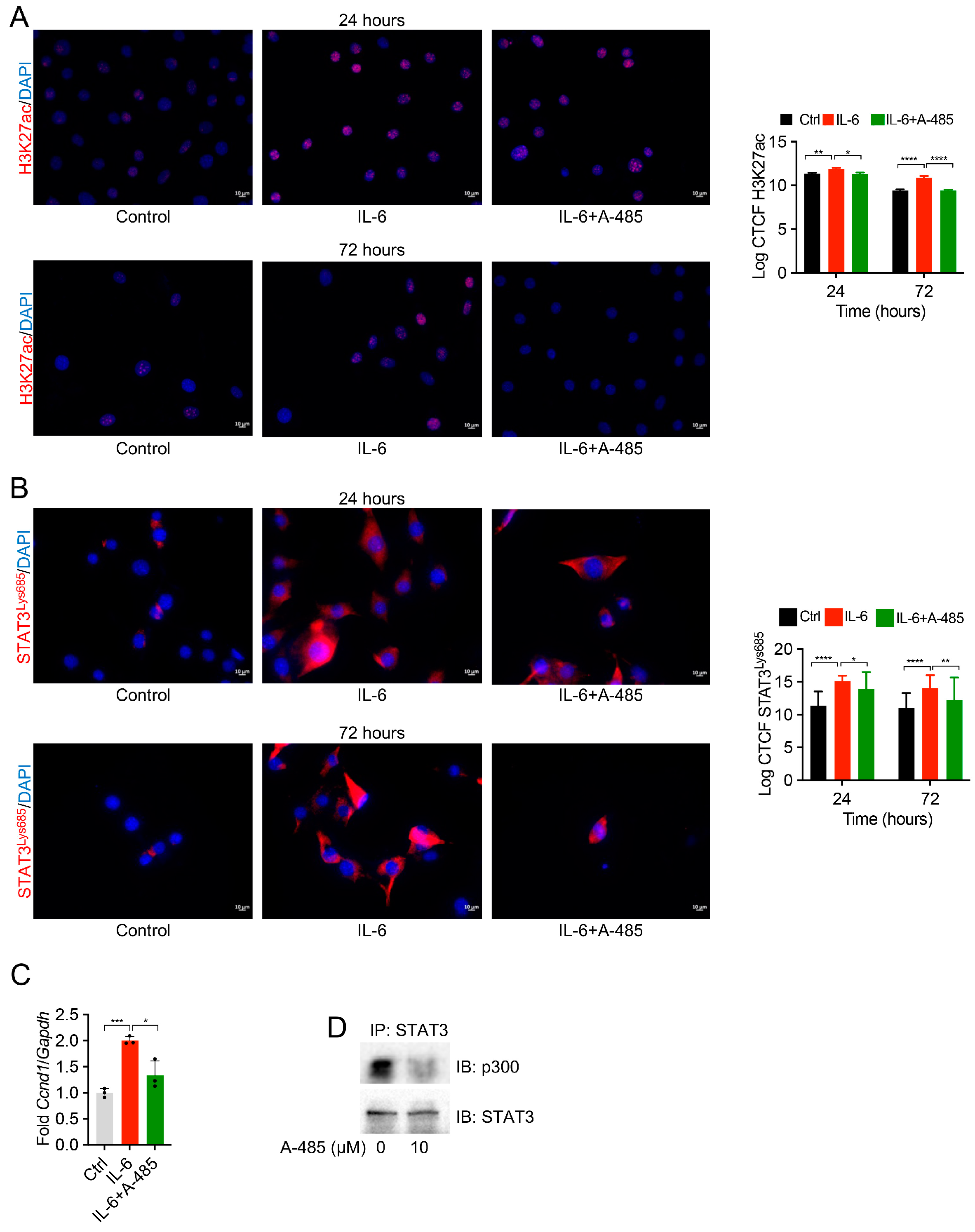 Biomedicines 12 02102 g004 Biomedicines 12 02102 g004